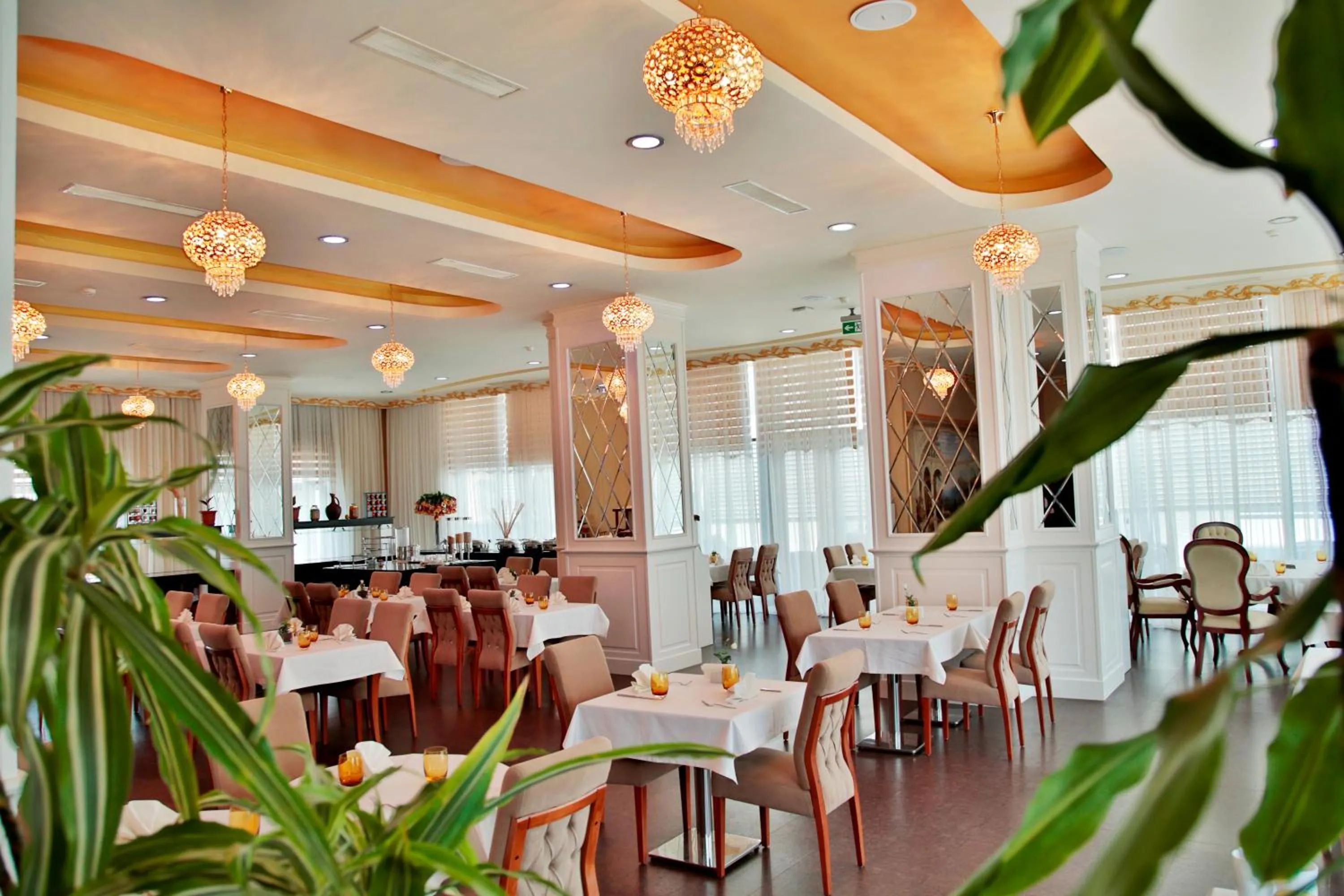 Food and drinks in Graaf Hotel