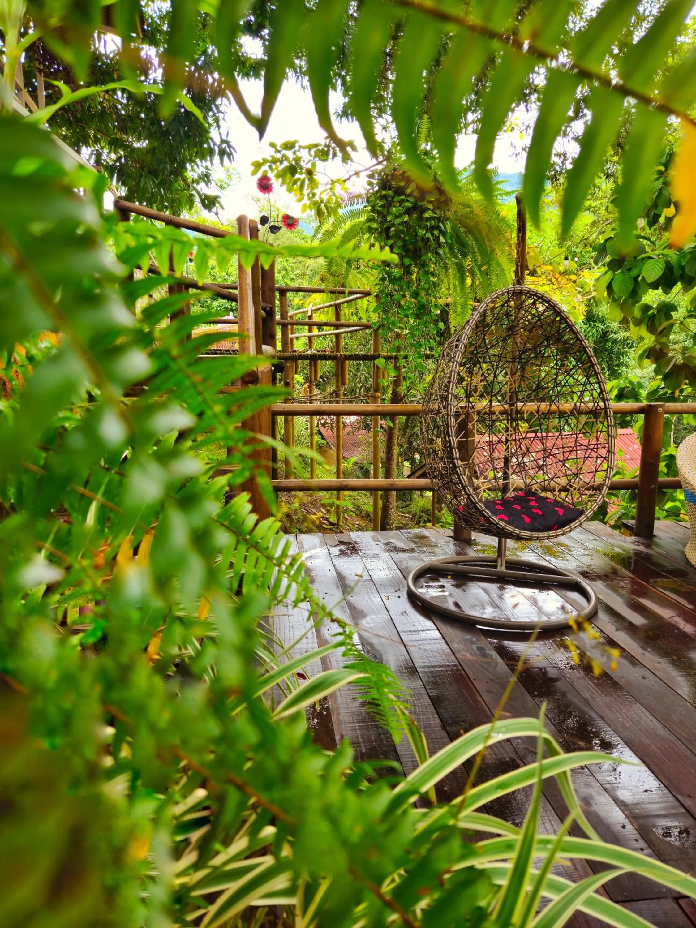 Garden view in MINCA Chunuu - glamping - coworking MINCA