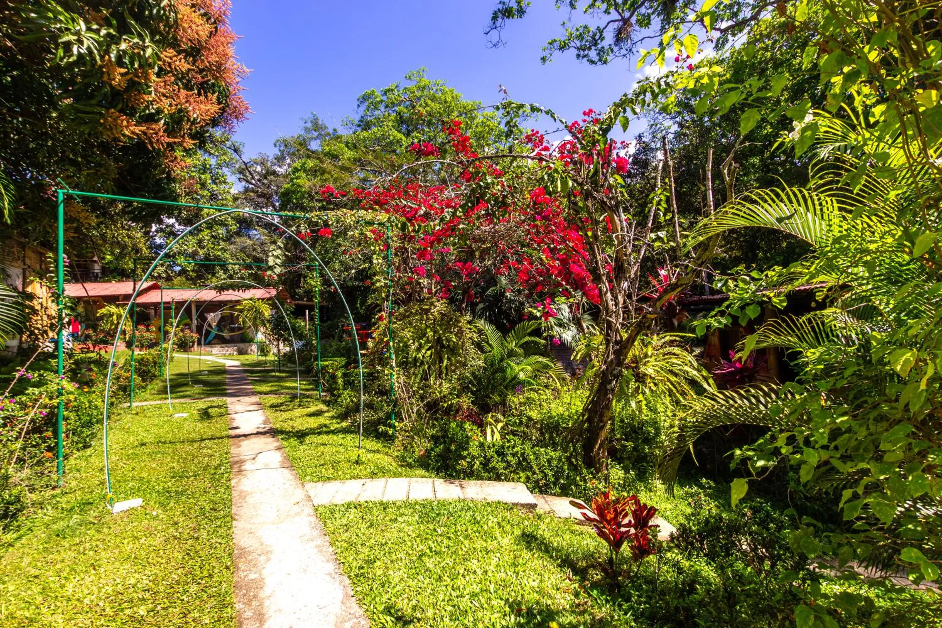 Garden in MINCA Chunuu - glamping - coworking MINCA