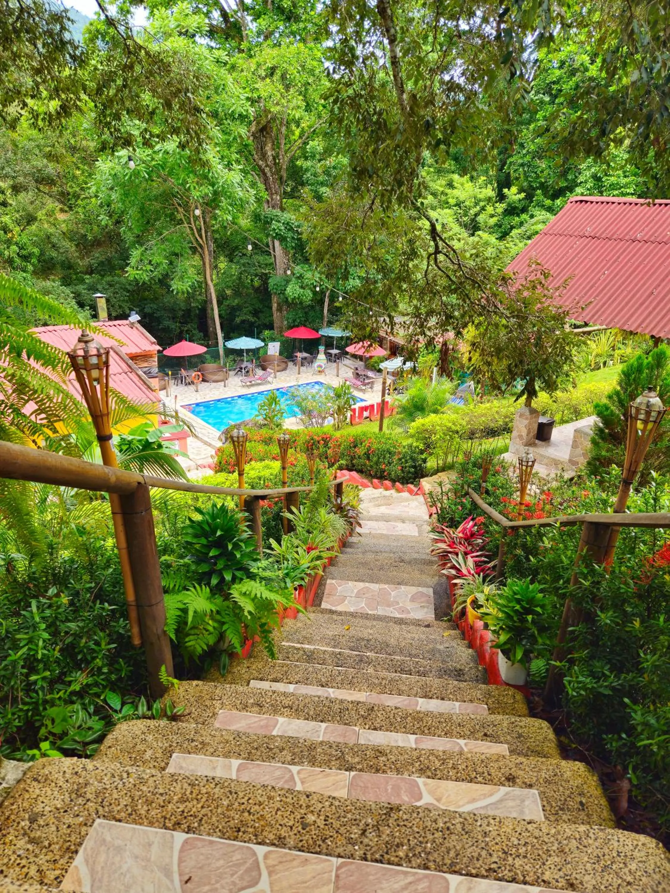 Garden view in MINCA Chunuu - glamping - coworking MINCA