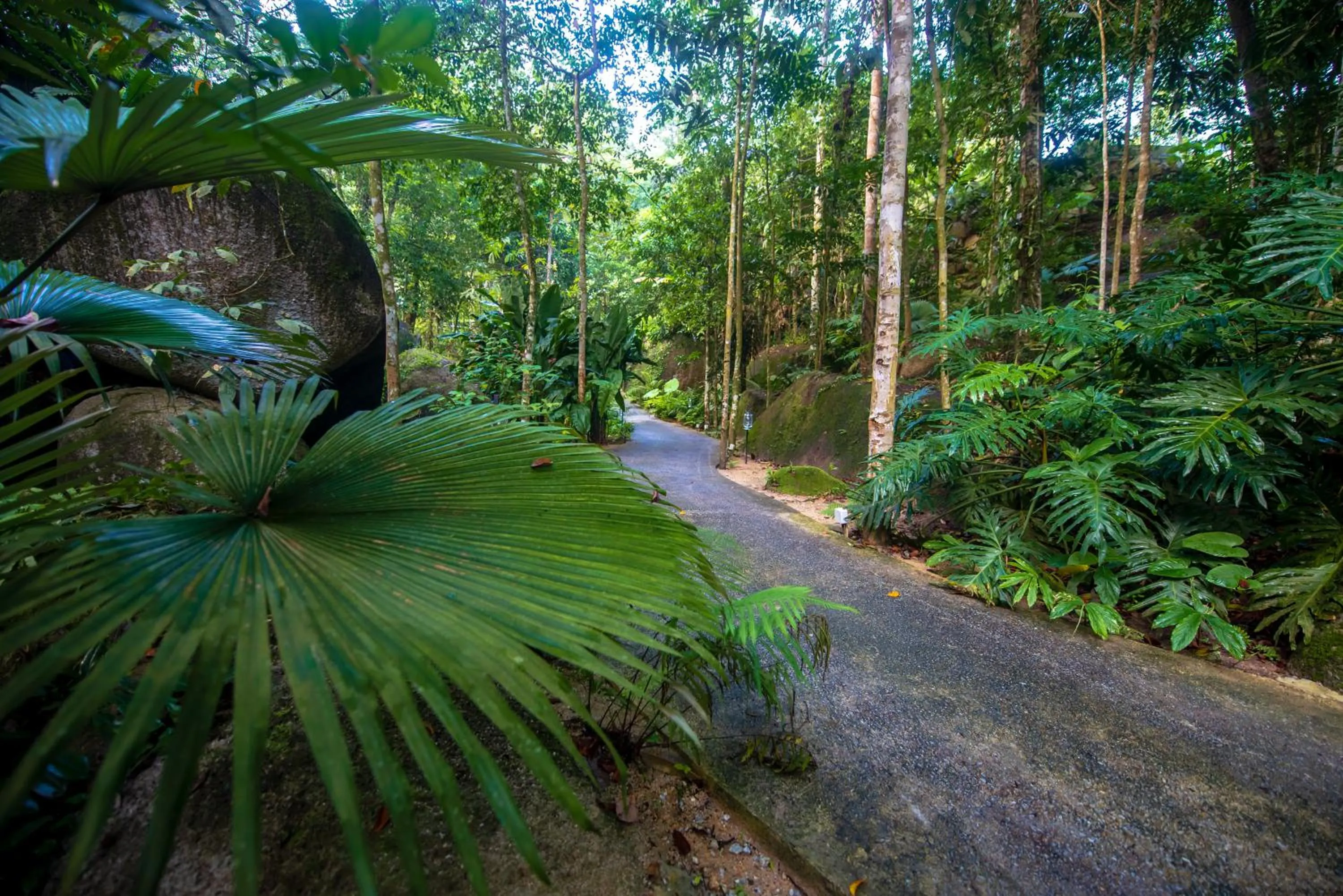Natural landscape in Boulder Valley