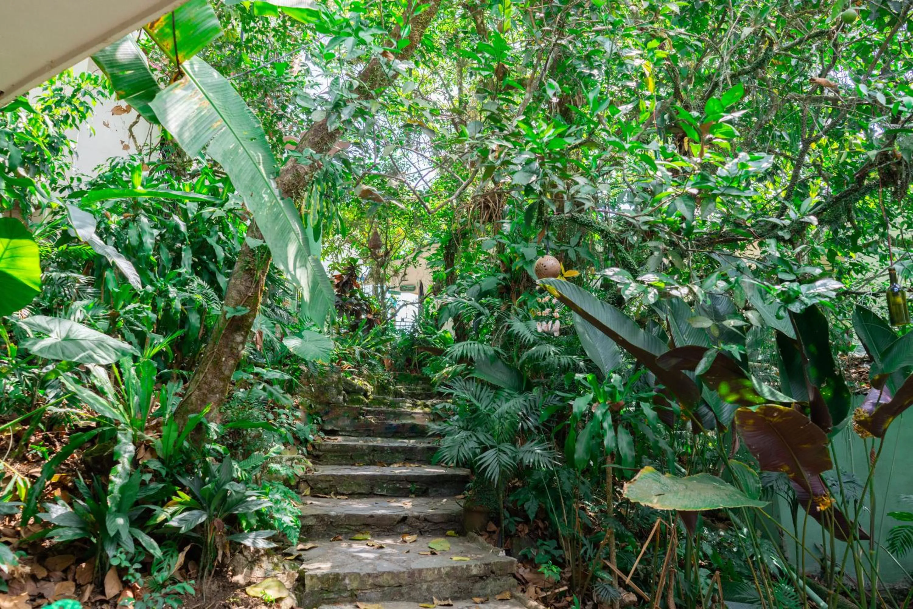 Natural landscape in Hotel Paraíso Encantado