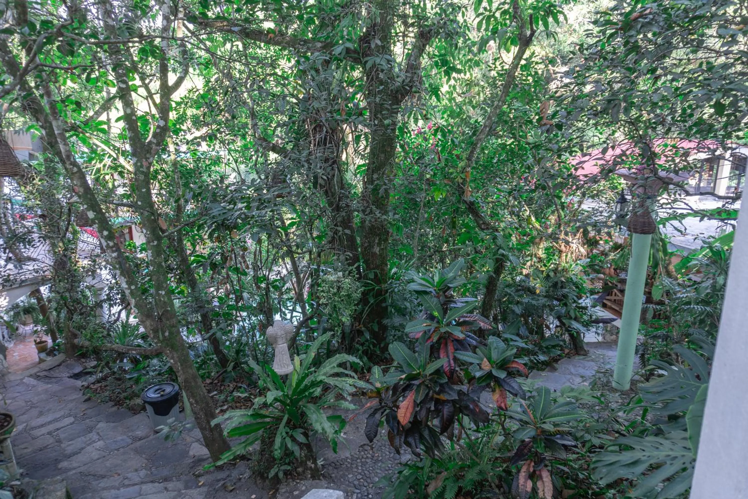 Garden view in Hotel Paraíso Encantado