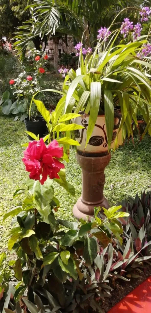 Casa Palagui Colonial