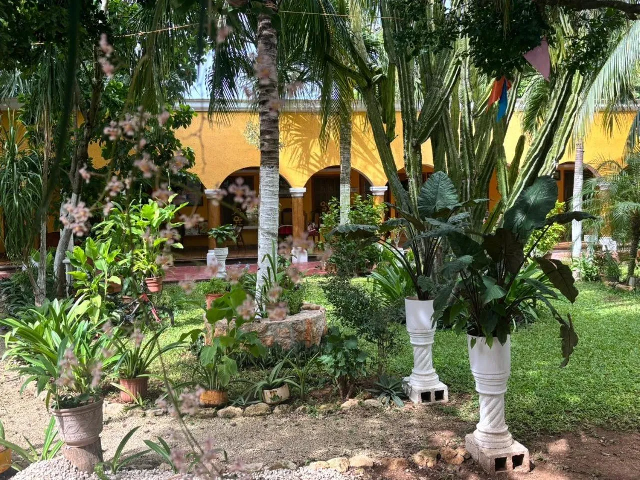 Casa Palagui Colonial