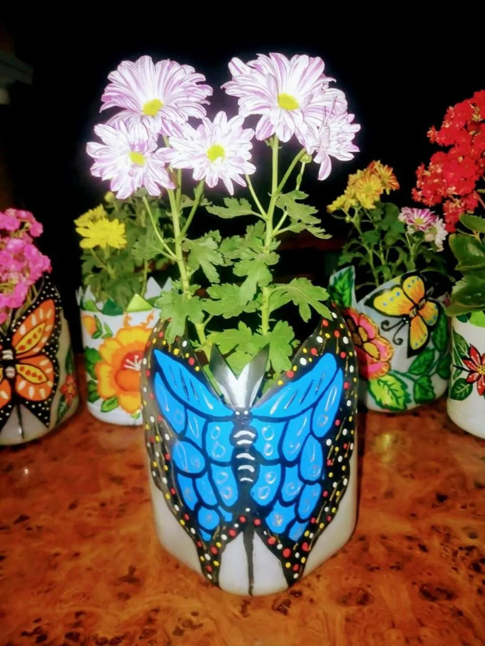 Casa Palagui Colonial