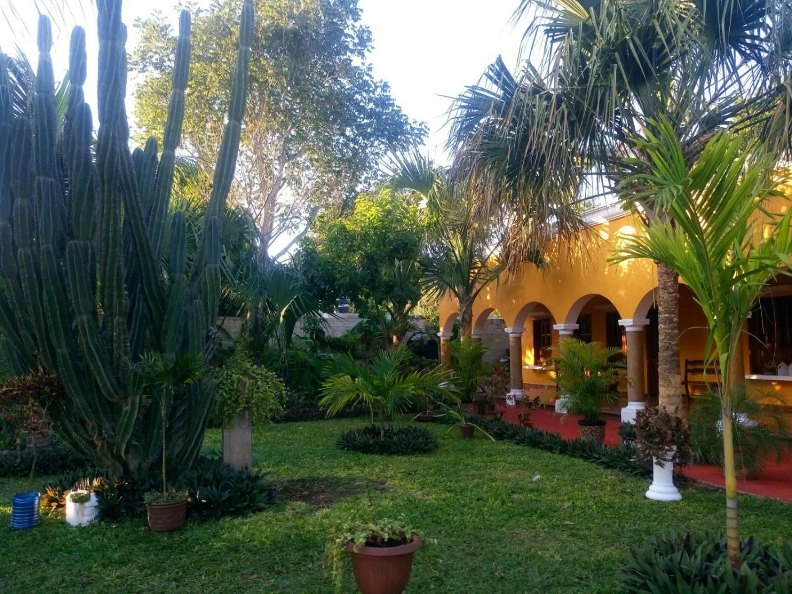 Casa Palagui Colonial