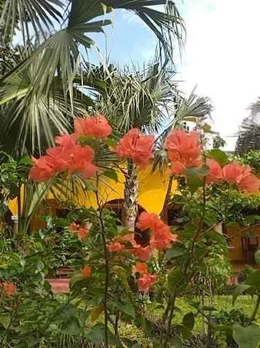 Casa Palagui Colonial