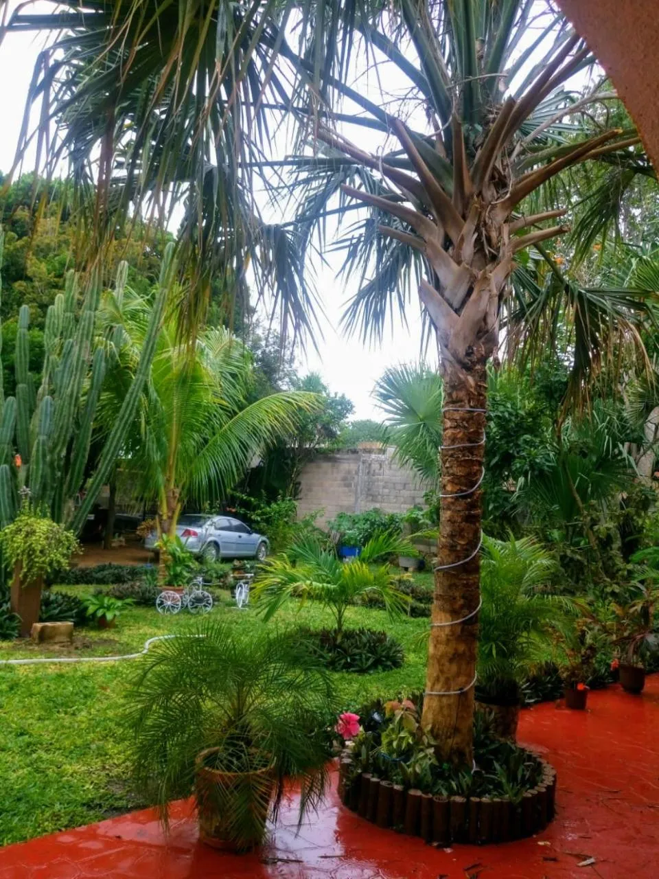 Casa Palagui Colonial