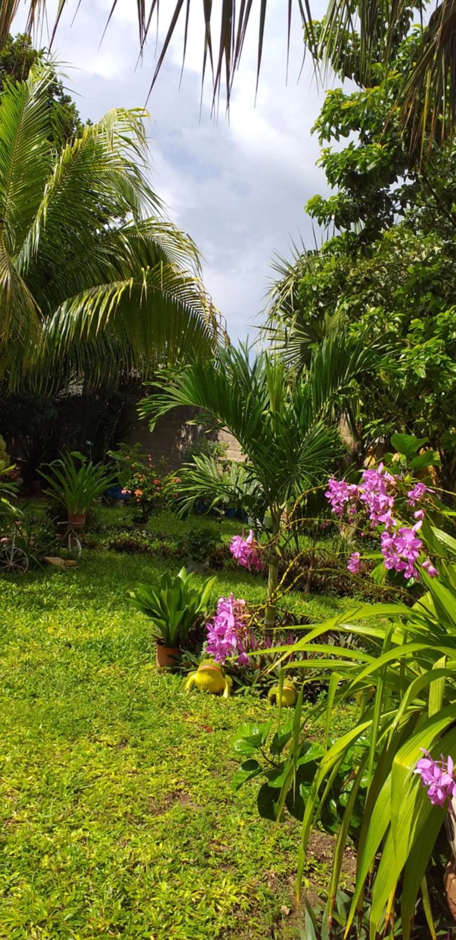 Casa Palagui Colonial