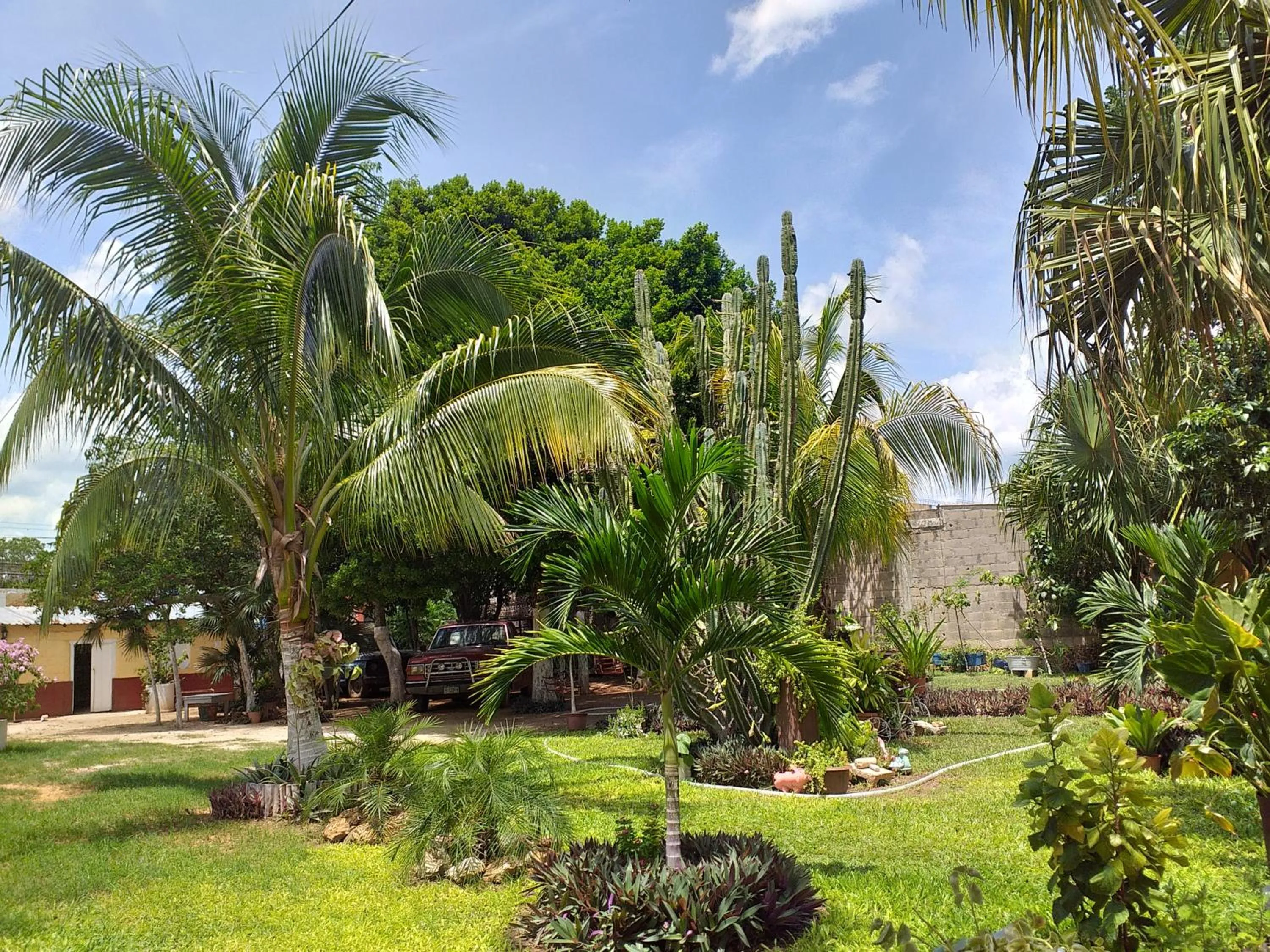 Casa Palagui Colonial