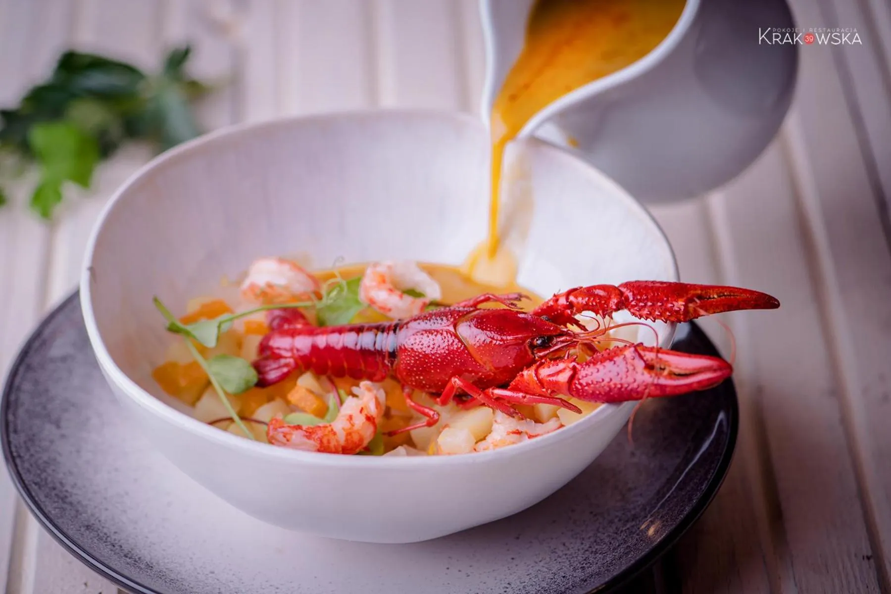 Restaurant/places to eat in Krakowska 39