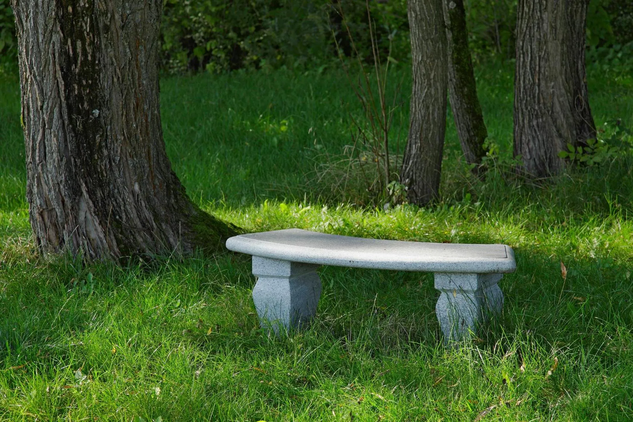 Natural landscape in Land- und Aktivhotel Altmühlaue