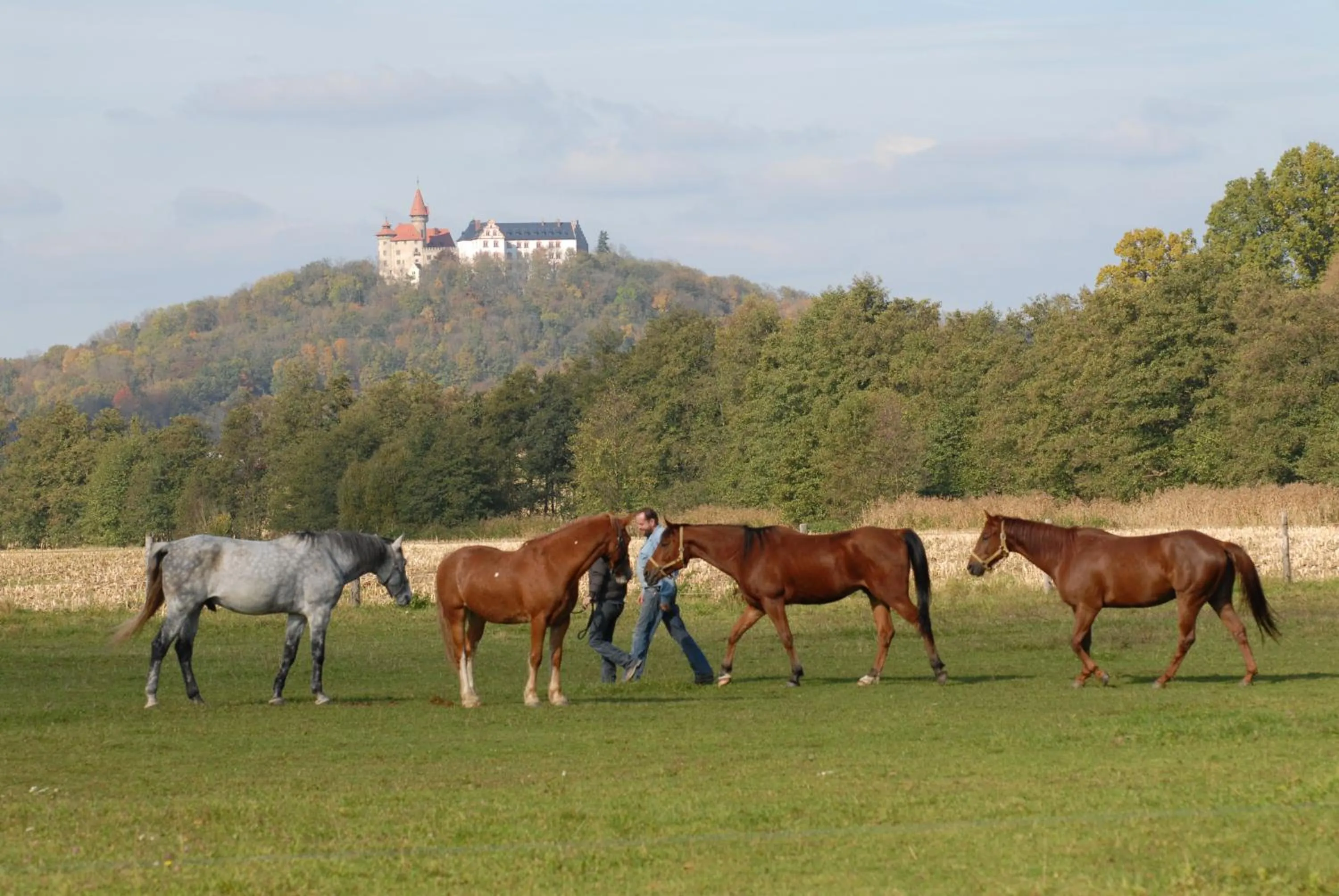 Activities in Land- und Aktivhotel Altmühlaue