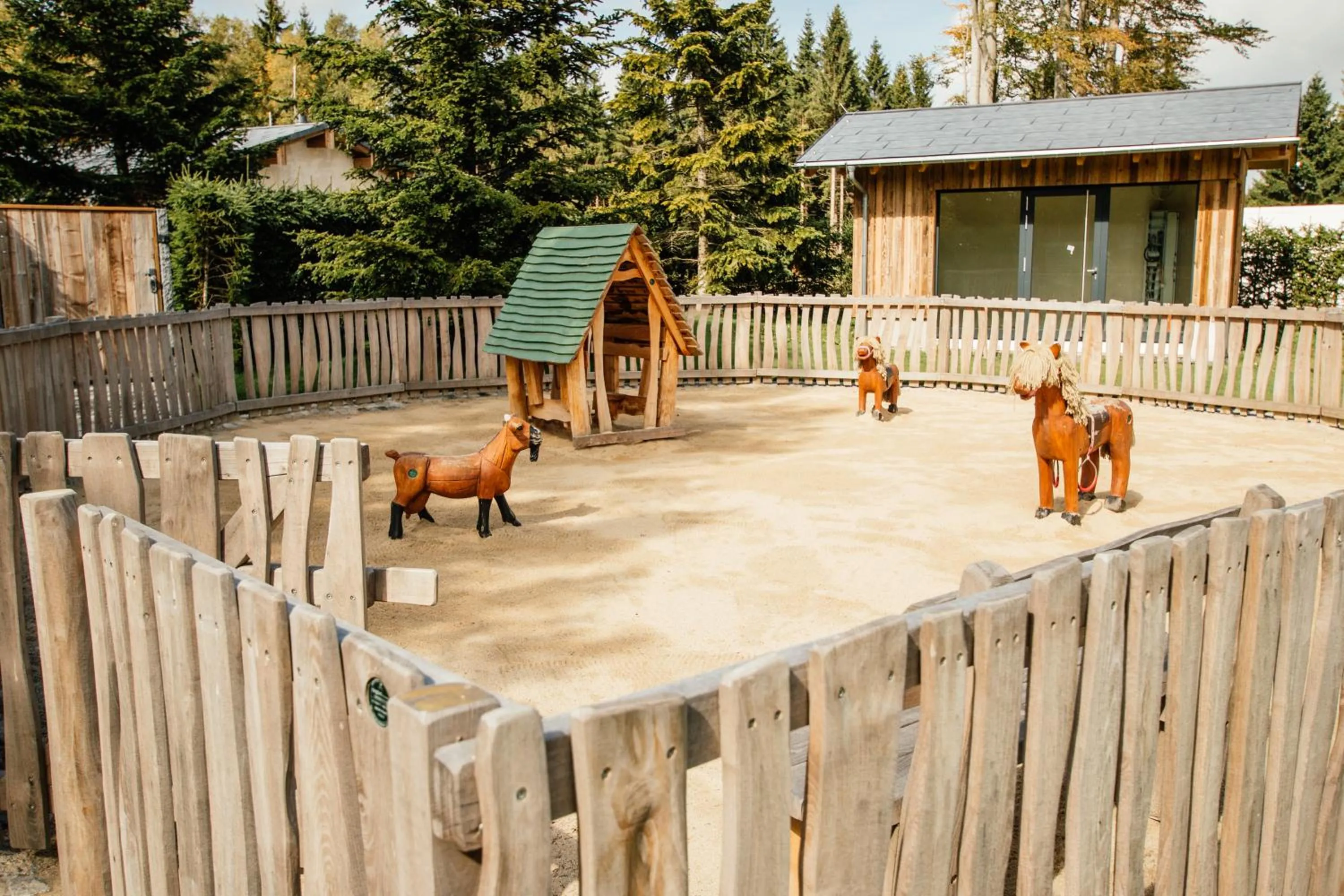 Activities in Hotel Tannenhaus