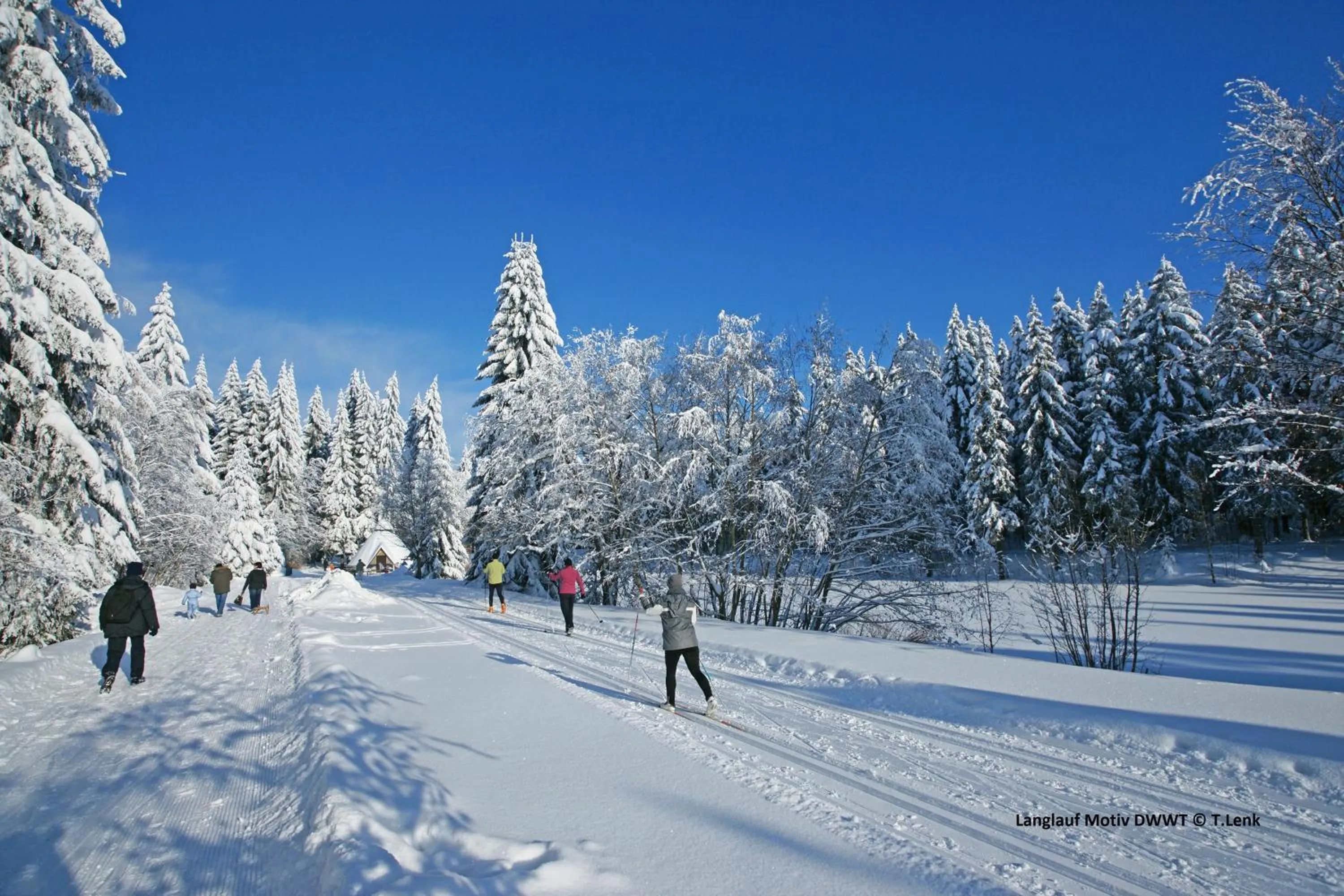 Winter in Hotel Tannenhaus