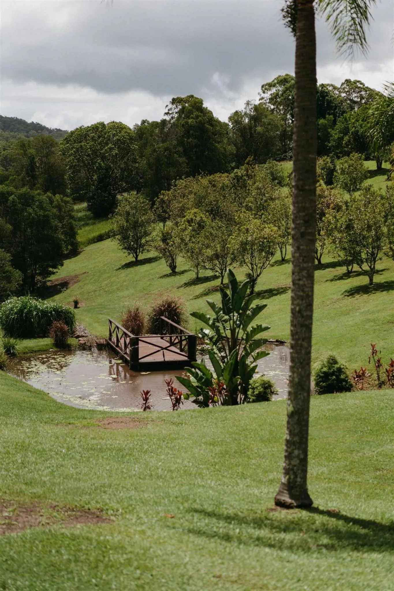 View (from property/room) in Austinvilla Estate