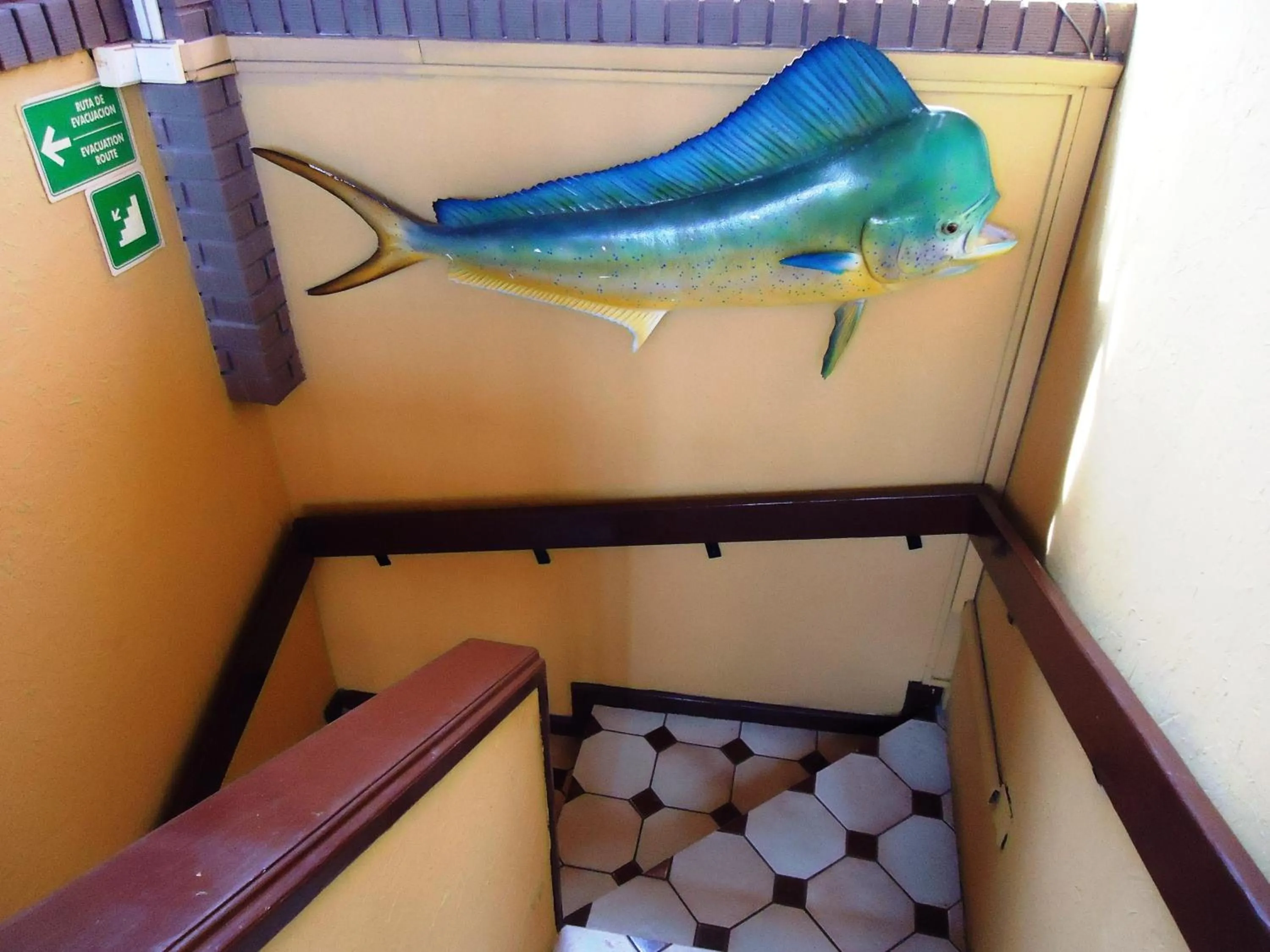 Area and facilities in Hotel La Hacienda de la Langosta Roja