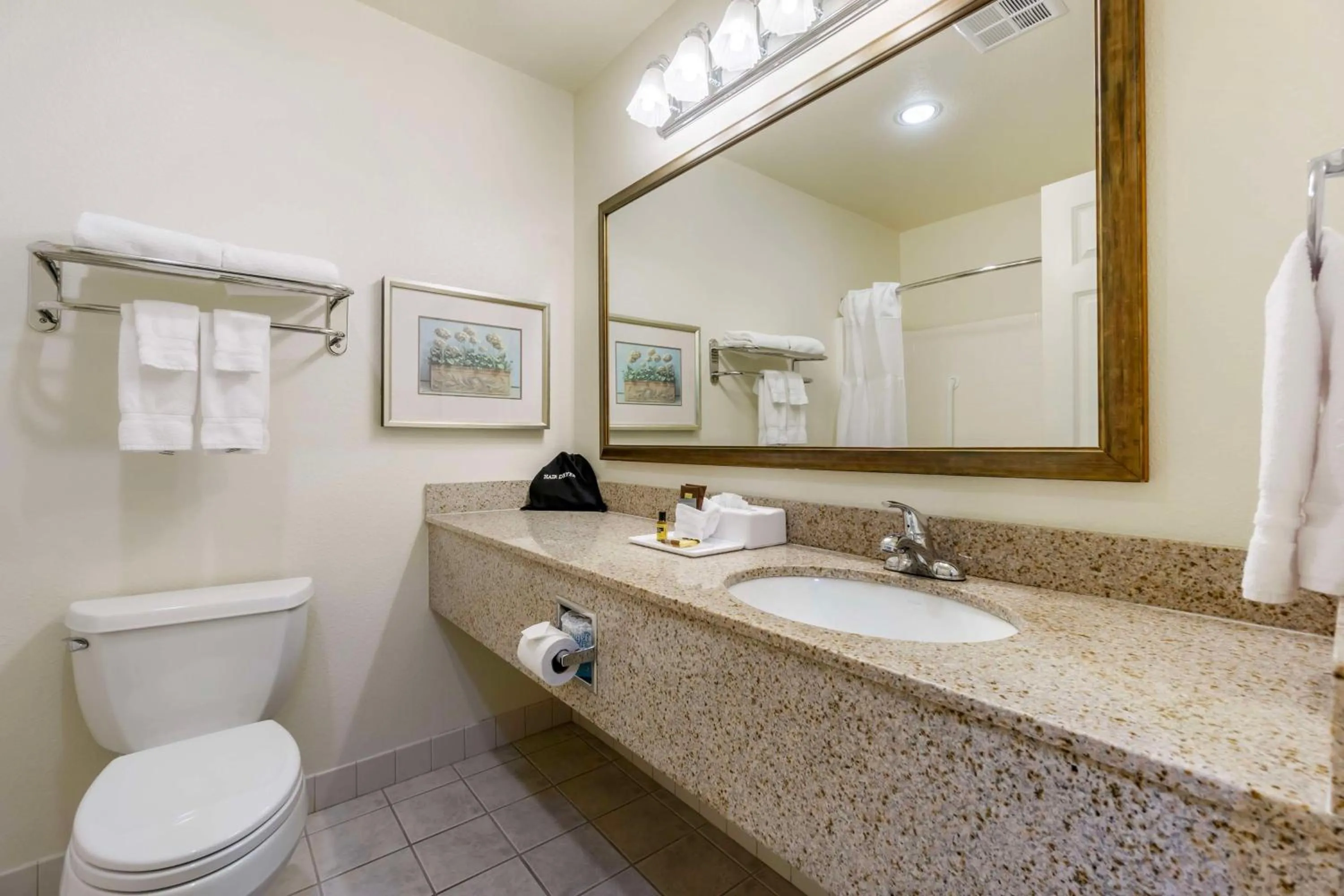 Bathroom in Best Western Plus Edmonds Harbor Inn