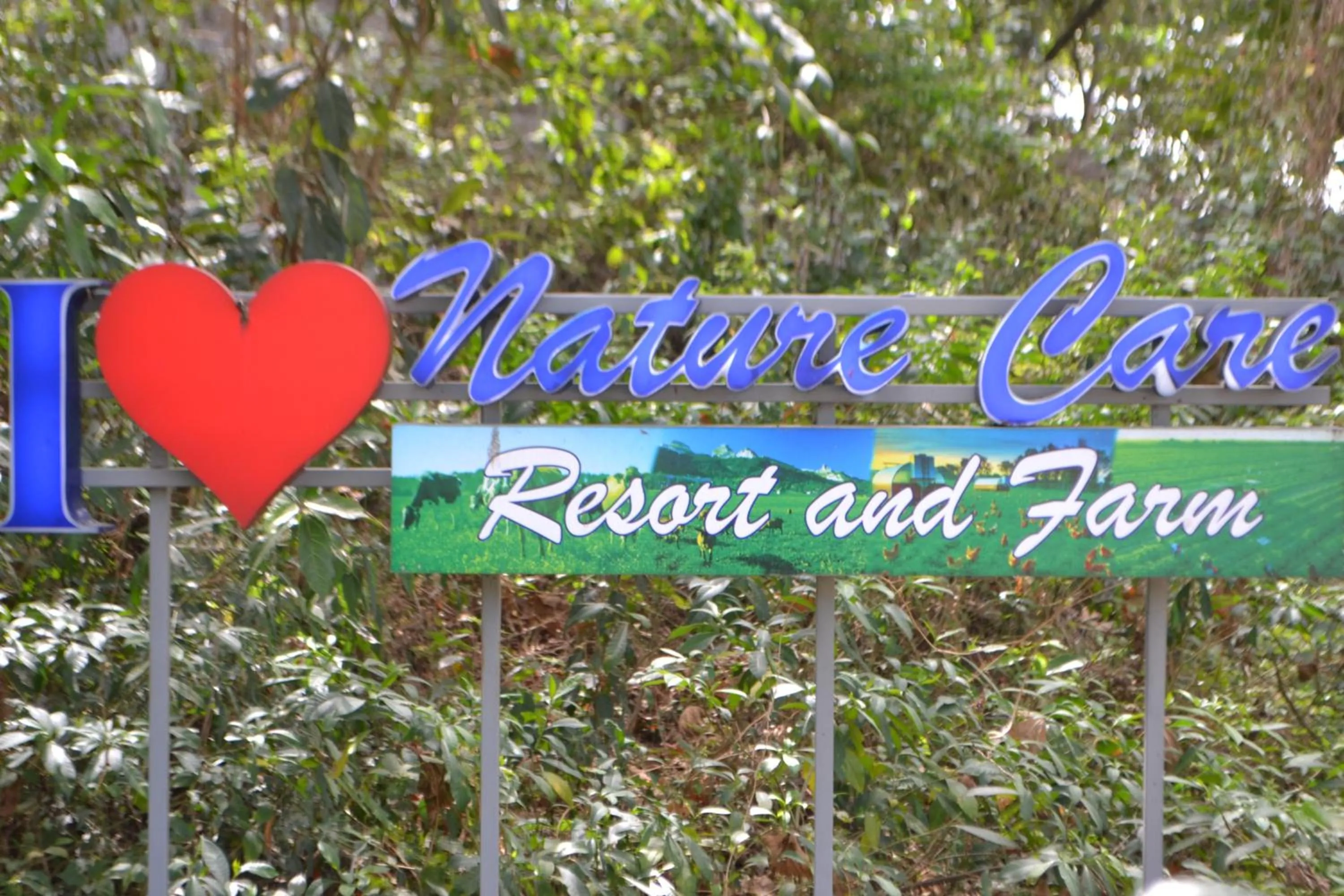 Nature Care Resort and Farm