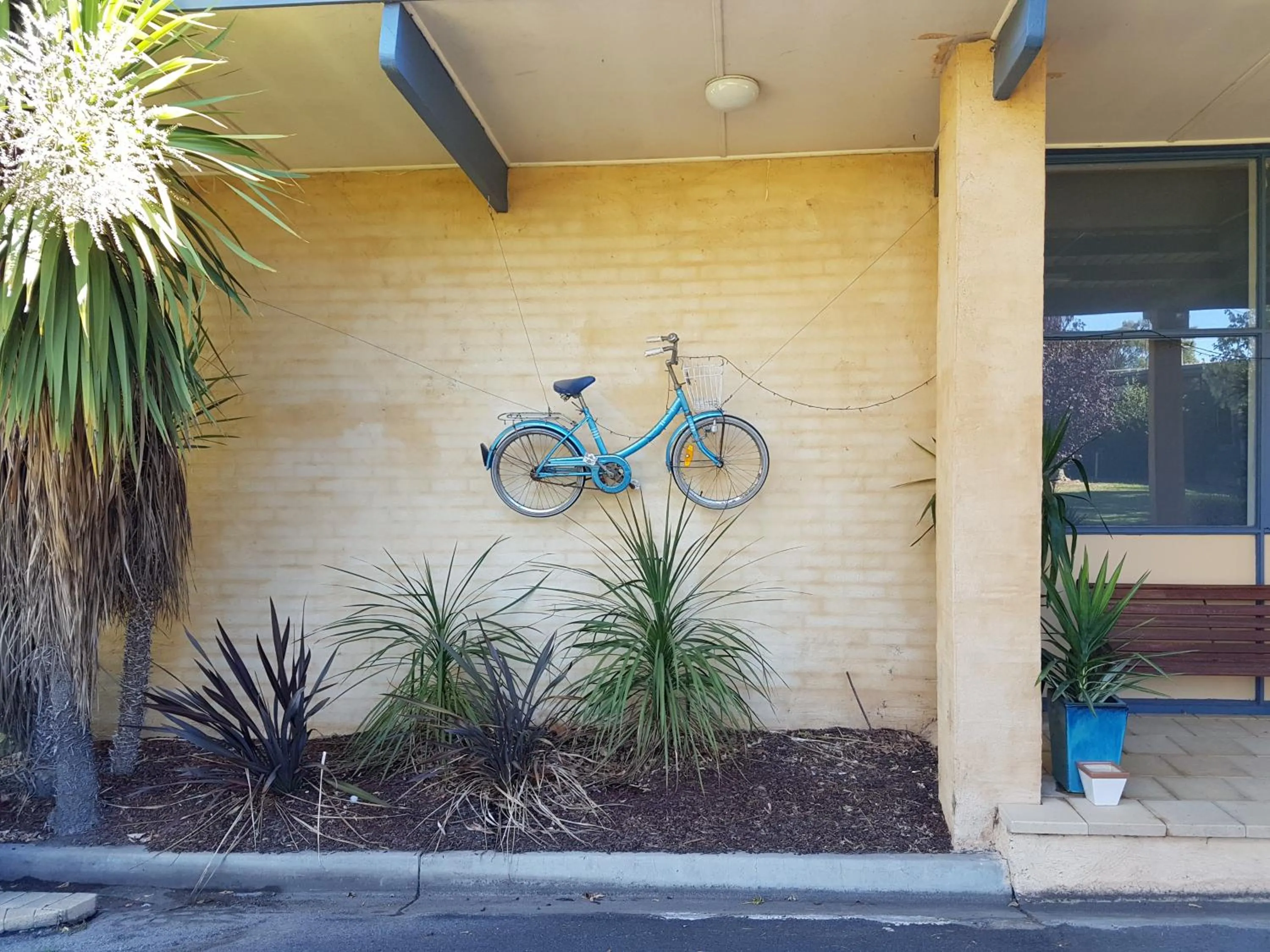 Garden in Motel Traralgon
