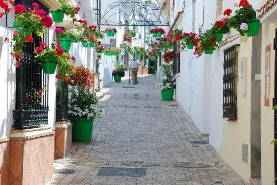 El Patio Doña Julia