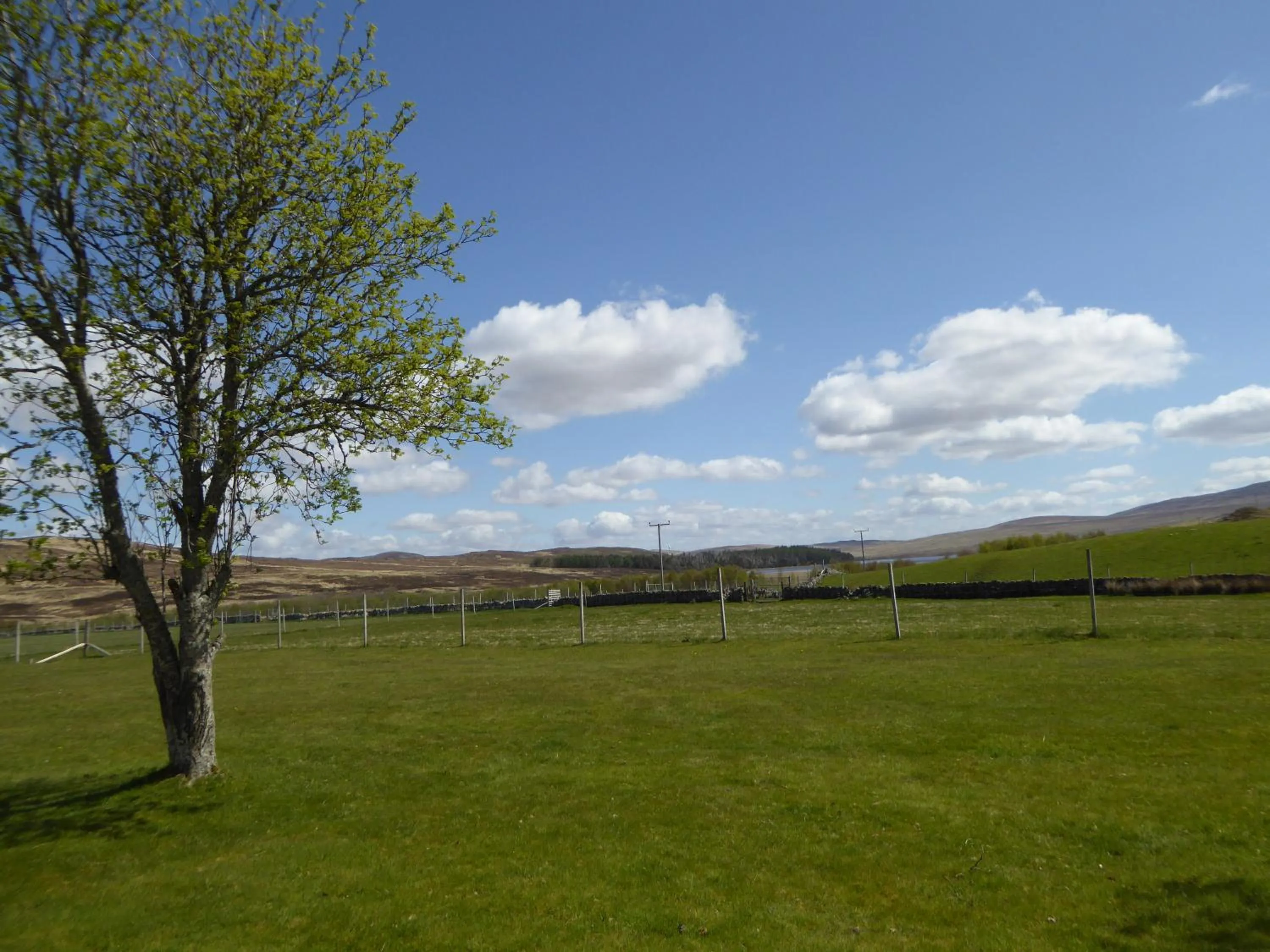 Garden view in Altnaharra Hotel