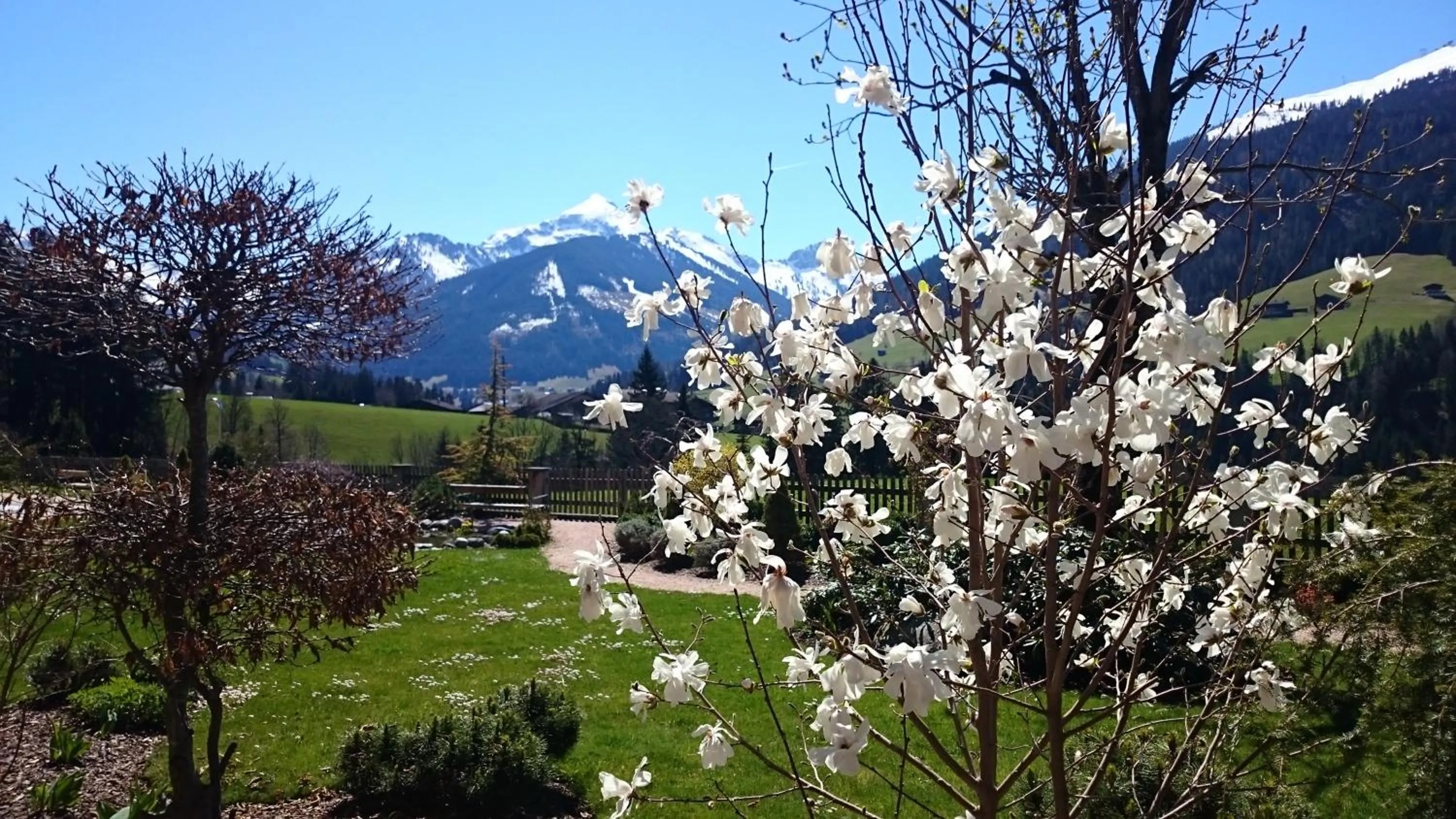 Spring in Alpbacherhof Mountain & Spa Resort