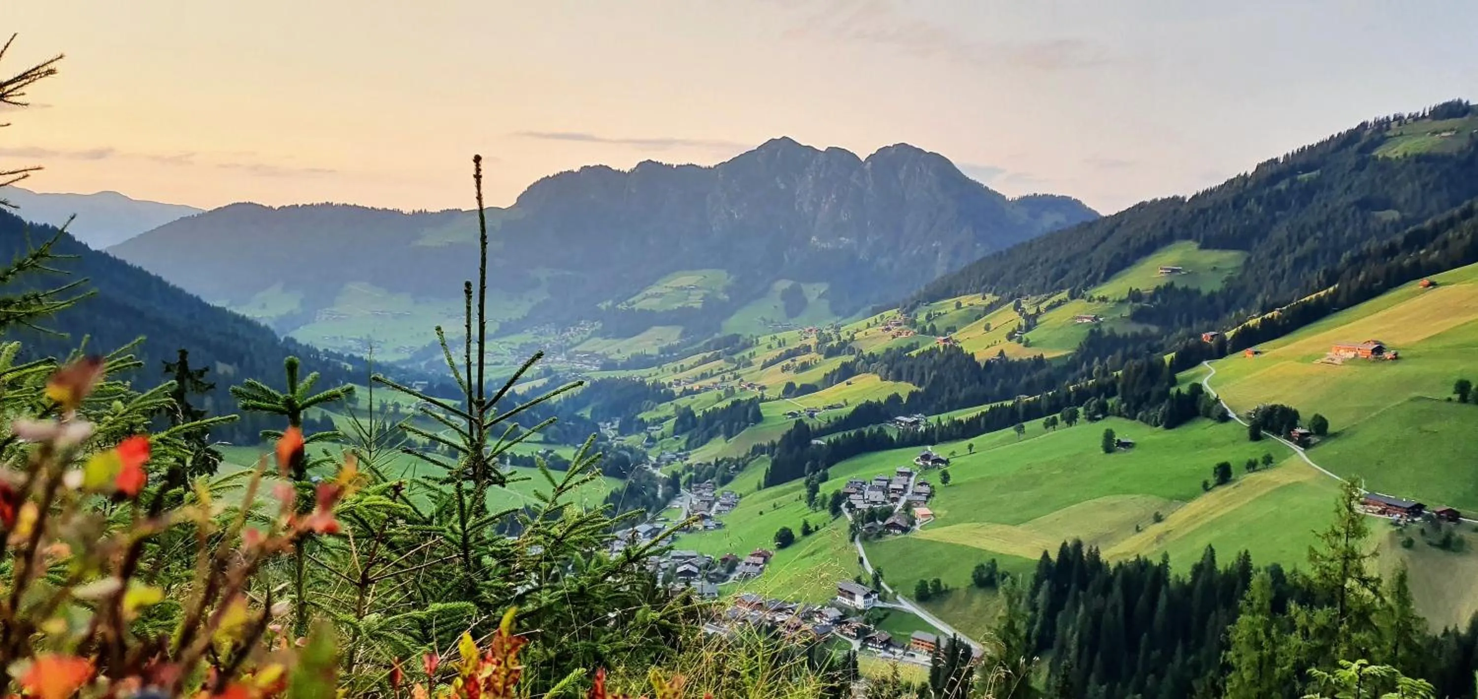 Staff in Alpbacherhof Mountain & Spa Resort