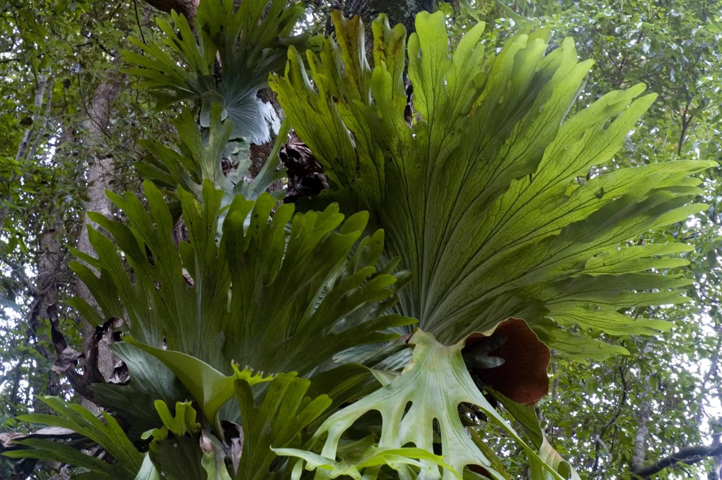 Garden in The Falls Montville