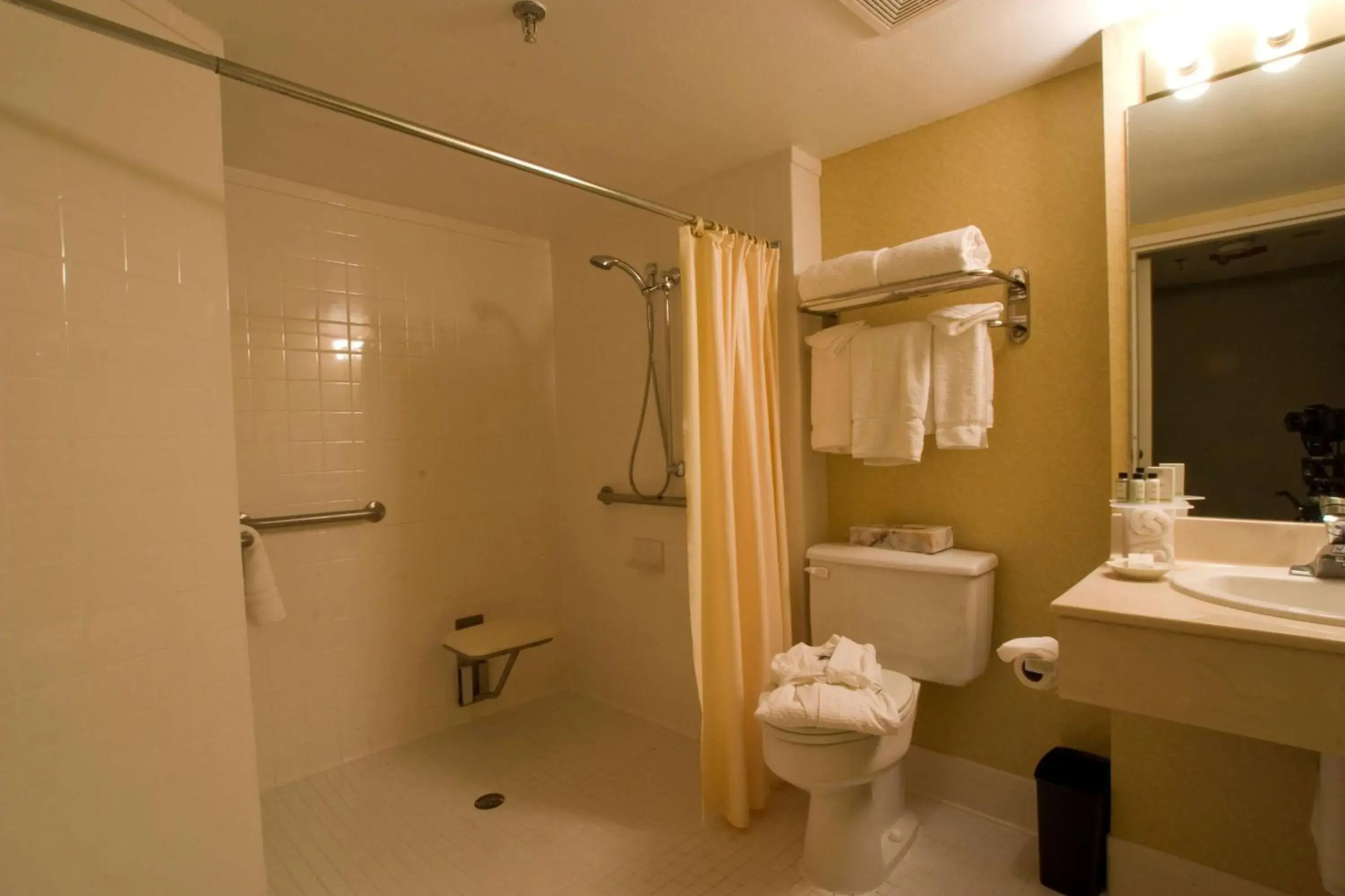 One-Bedroom King Suite with Roll-In Shower - Mobility Access/Non-Smoking in Doubletree by Hilton McAllen One-Bedroom King Suite with Roll-In Shower - Mobility Access/Non-Smoking in Doubletree by Hilton McAllen