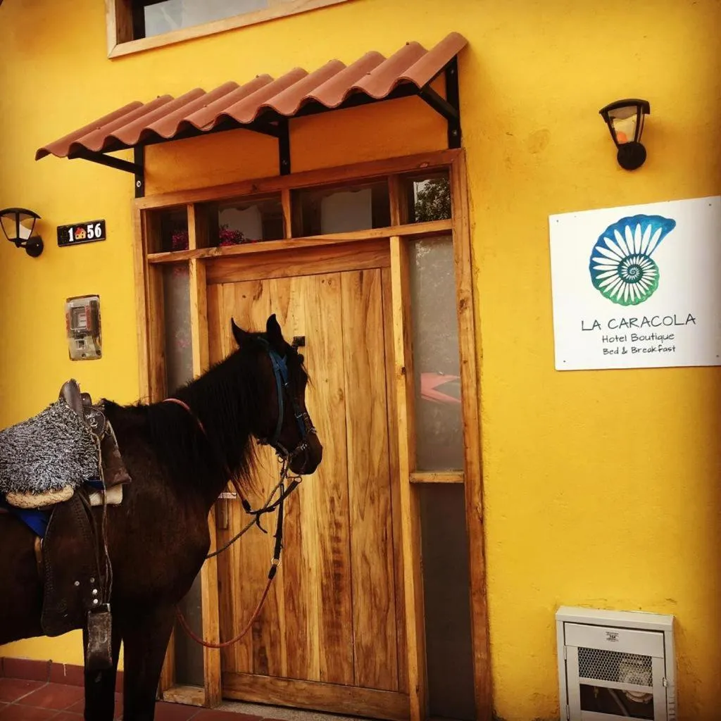 Day in Hotel La Caracola Salento