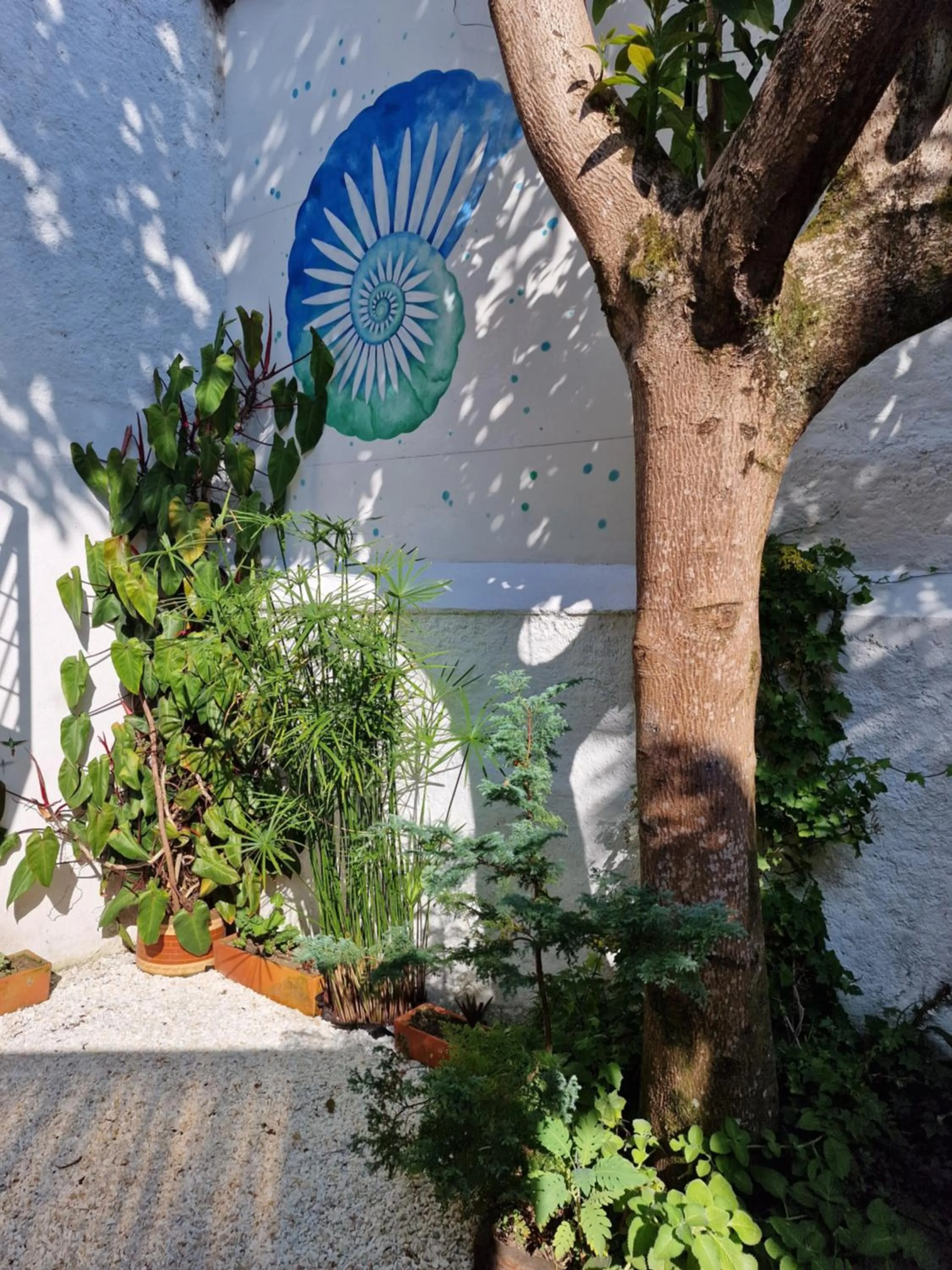 Patio in Hotel La Caracola Salento