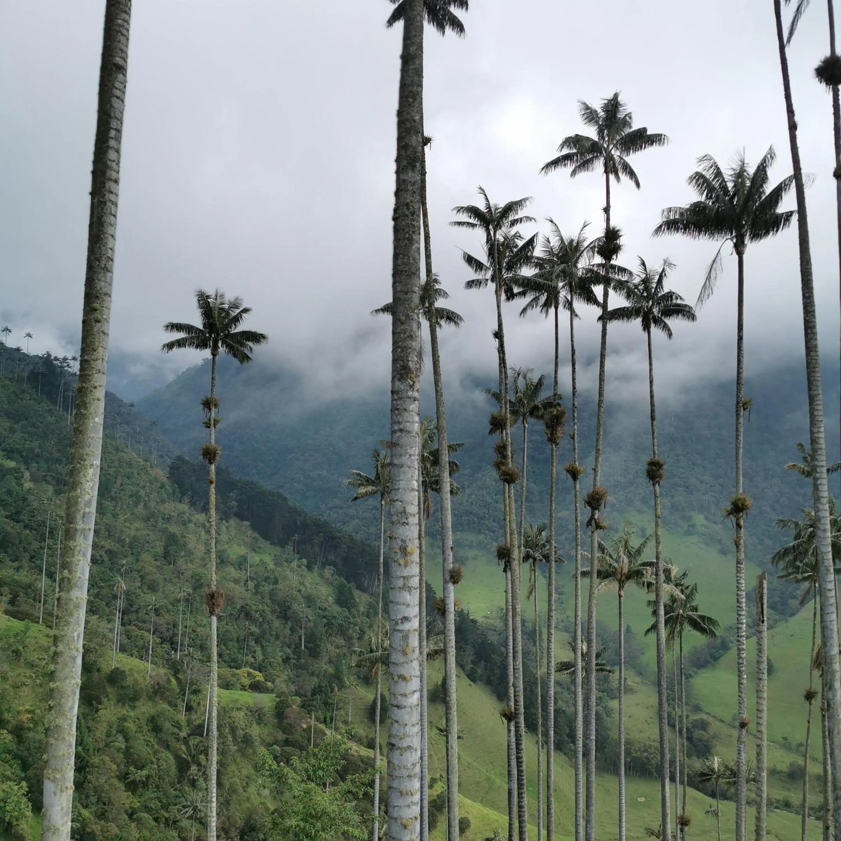 Natural landscape in Hotel La Caracola Salento