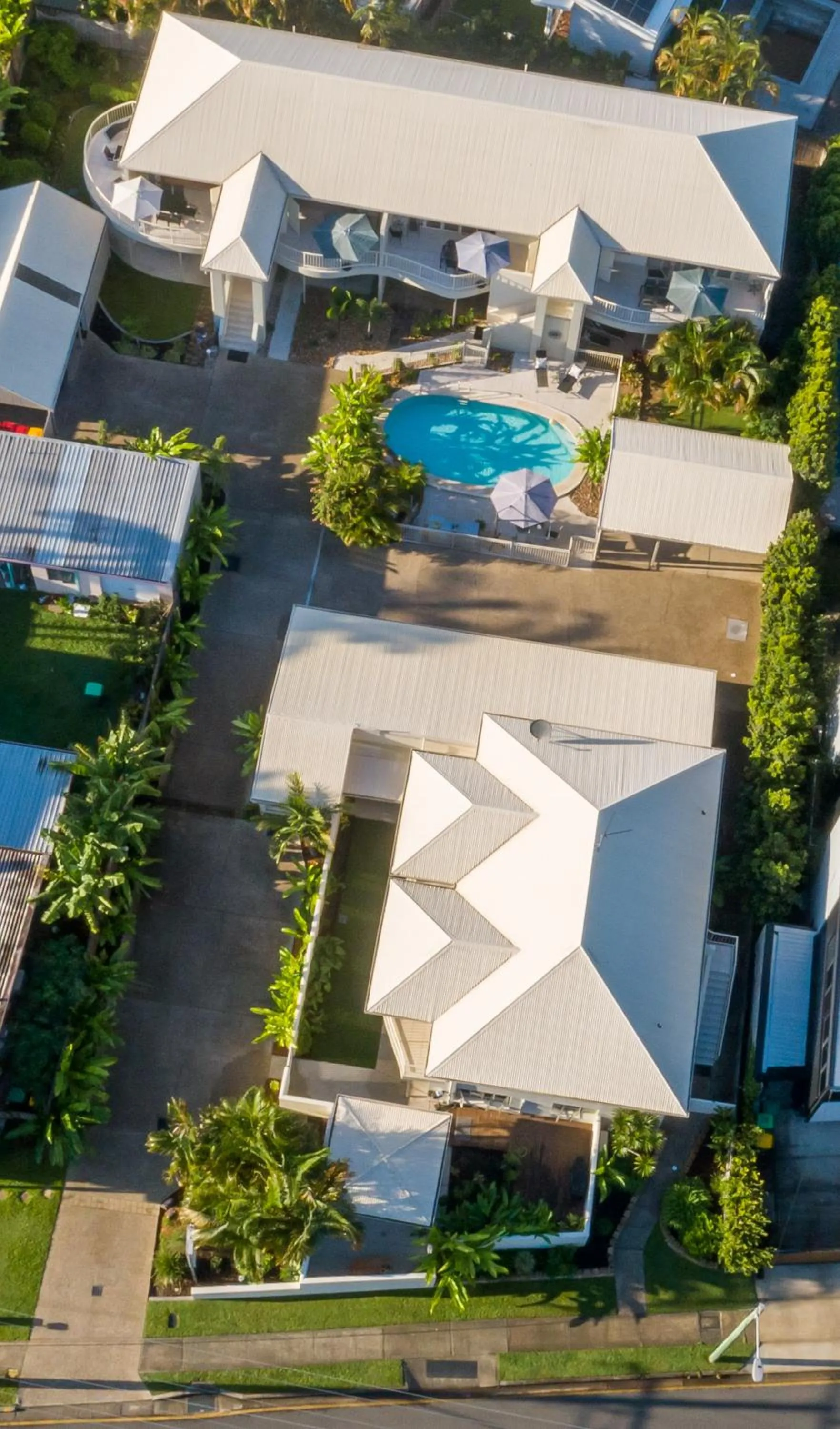 Bird's eye view in Noosa River Palms