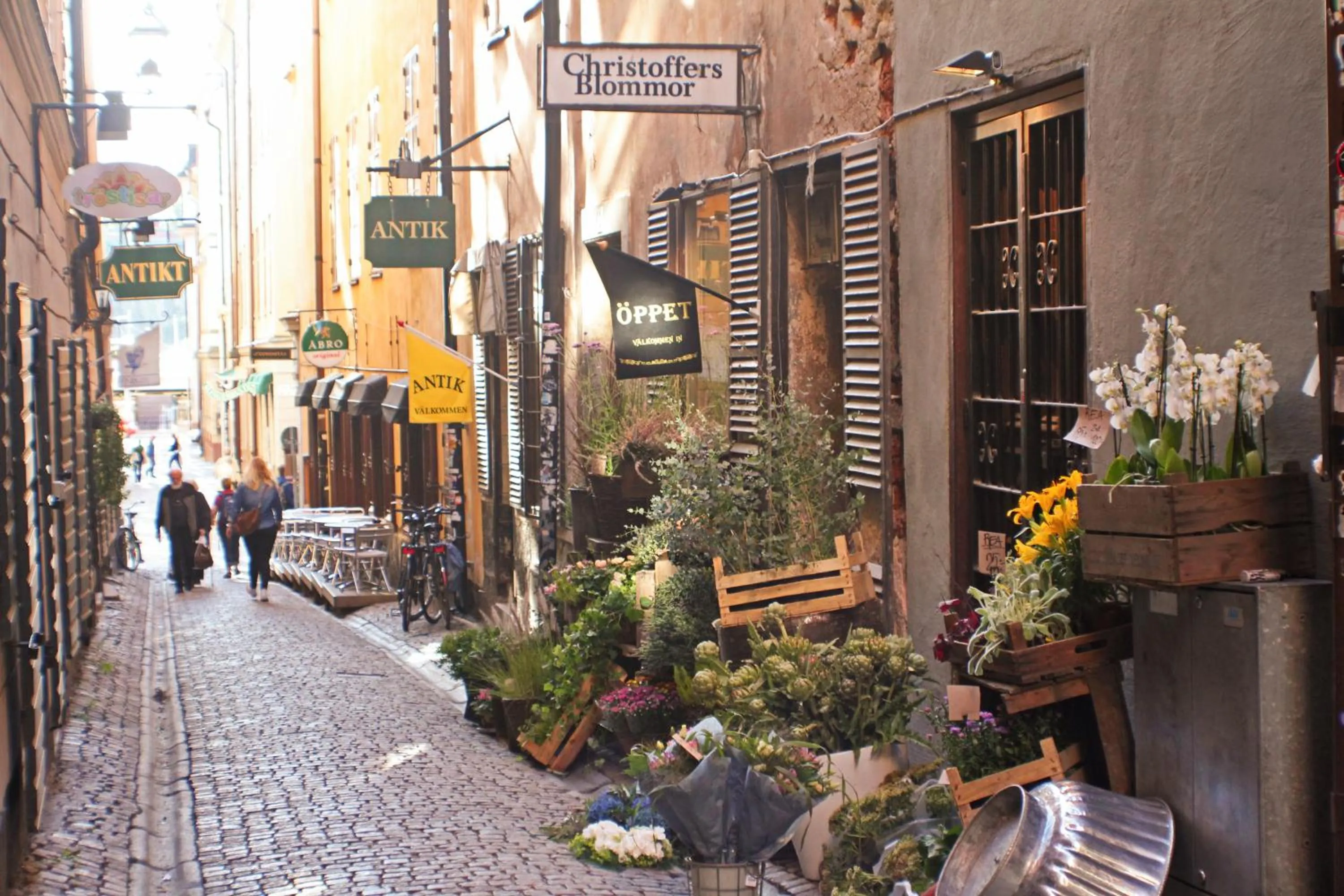 Neighbourhood in Castanea Old Town Hostel