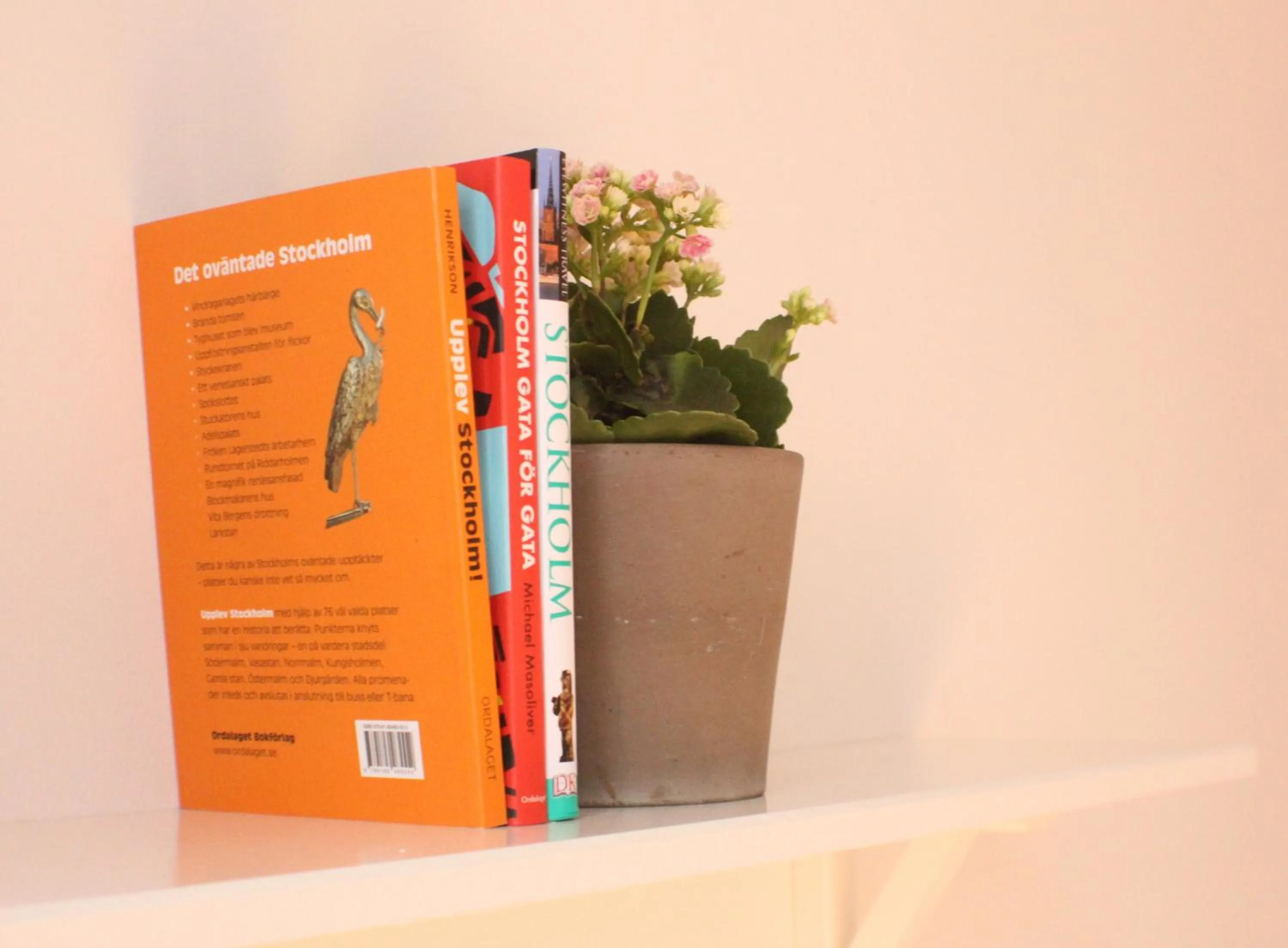 Decorative detail in Castanea Old Town Hostel