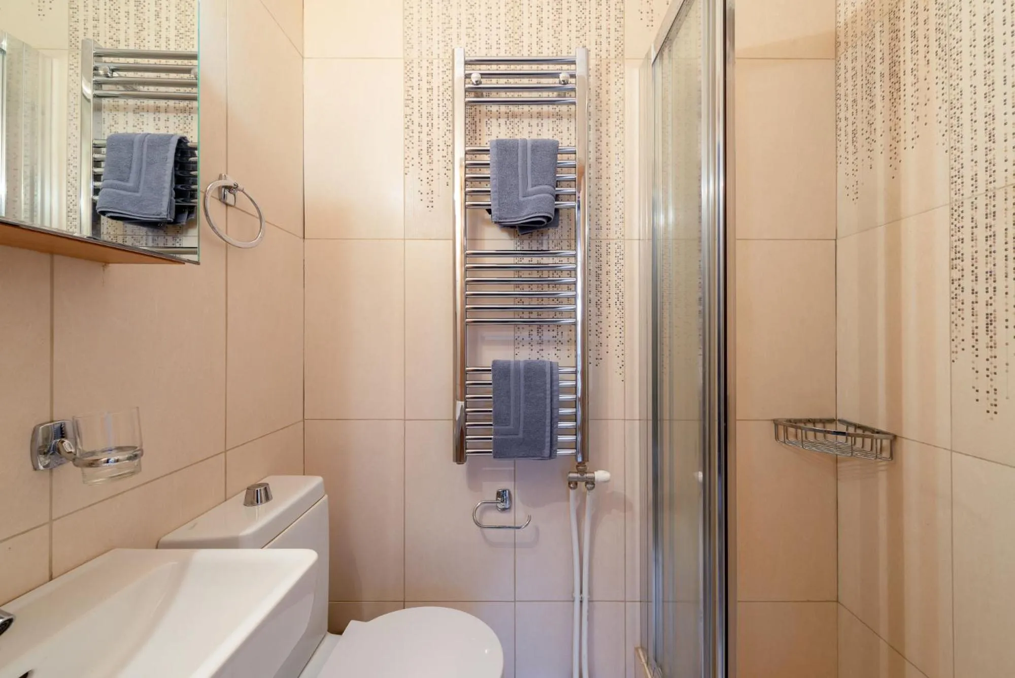 Shower in Elegant Living