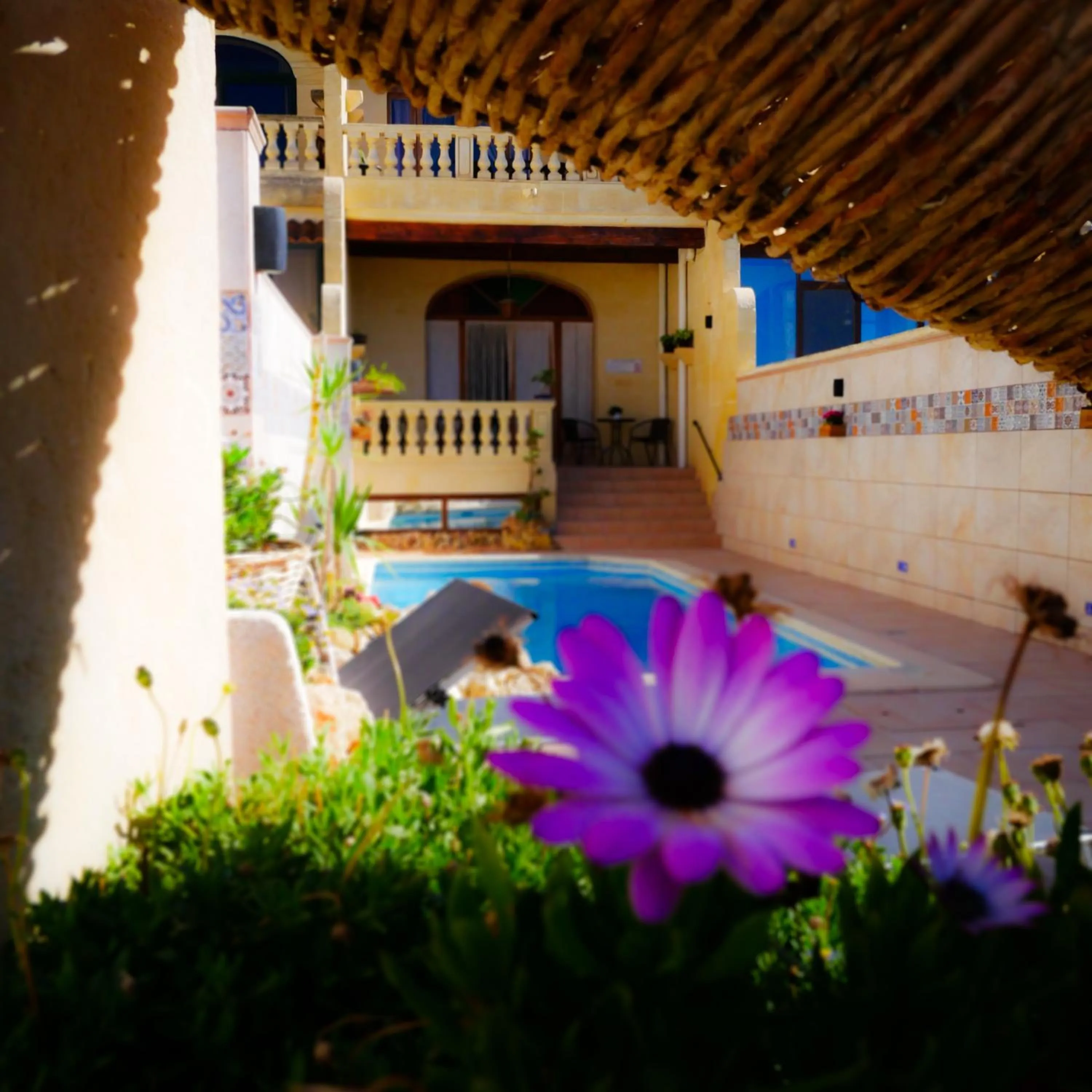 Patio in Narcisa Farmhouse