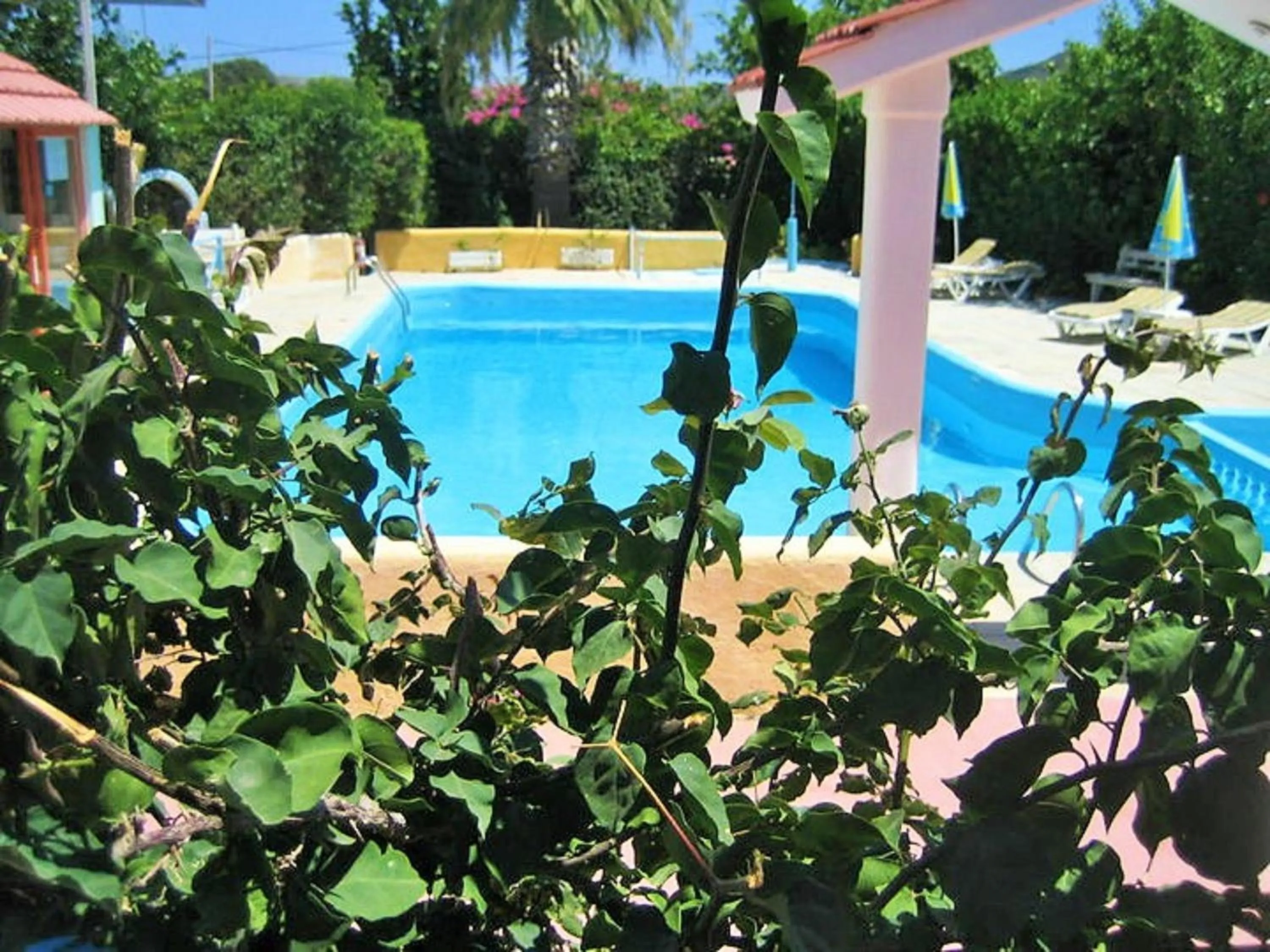 Garden in Villa Sofia