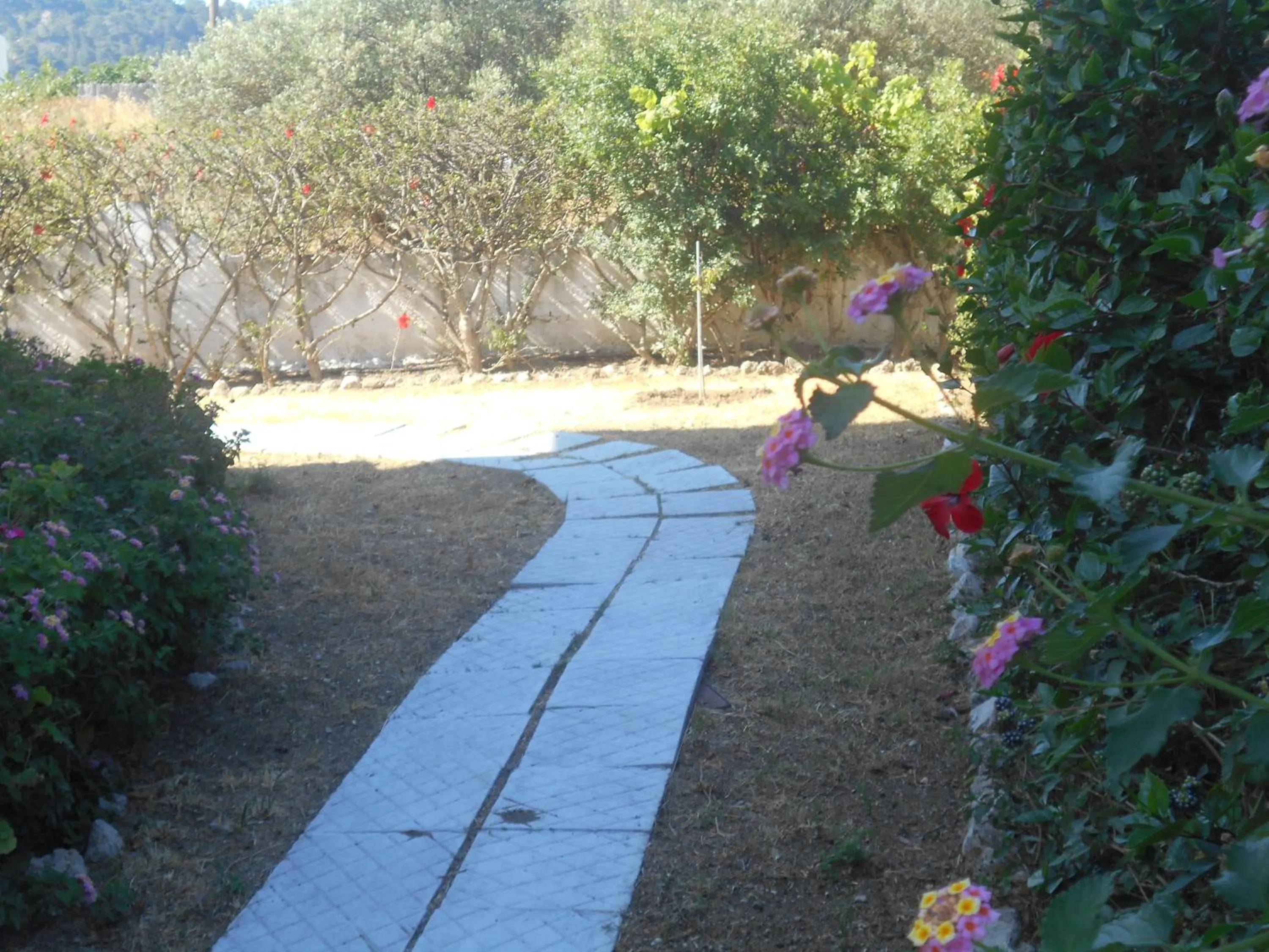 Garden in Villa Sofia