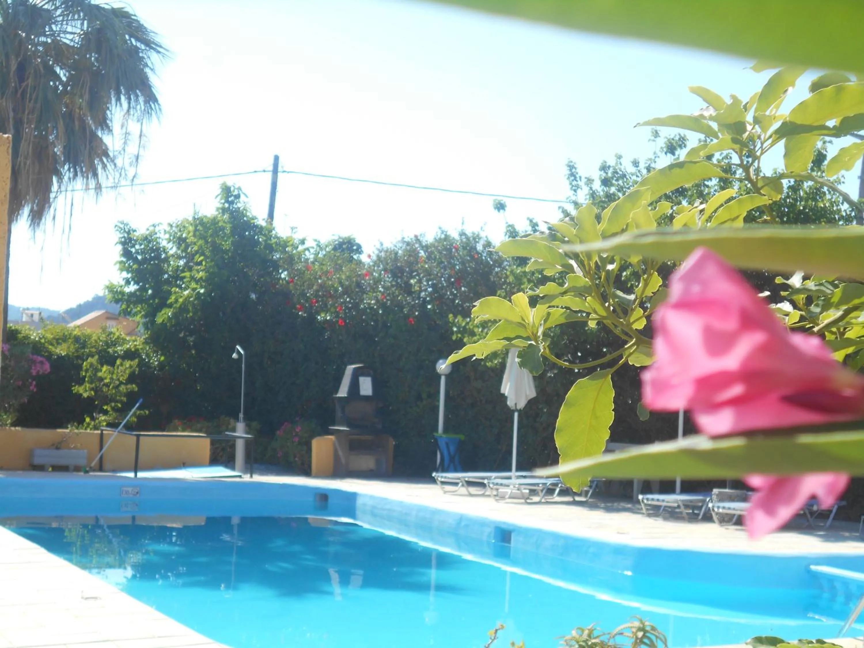 Pool view in Villa Sofia