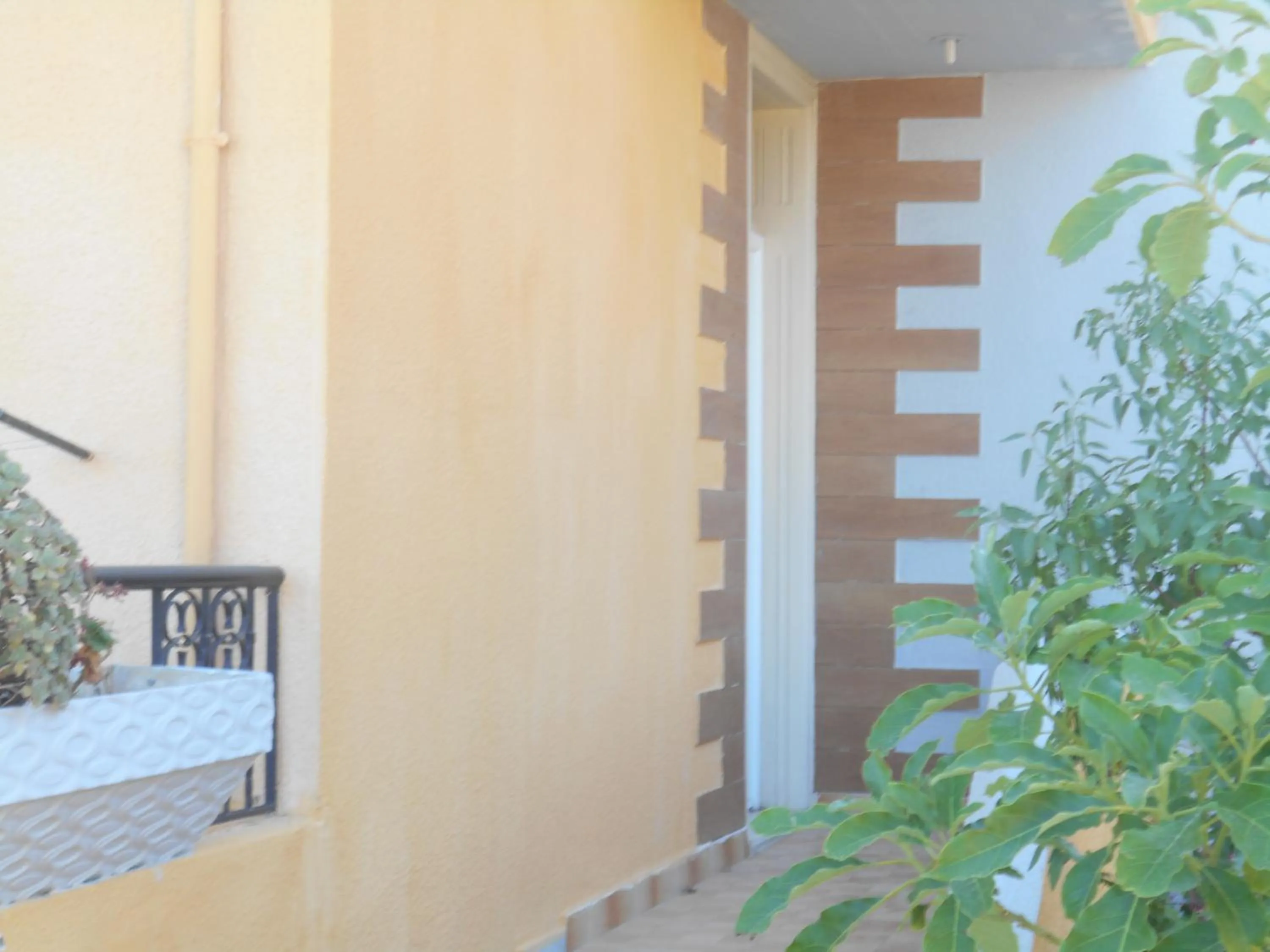 Patio in Villa Sofia