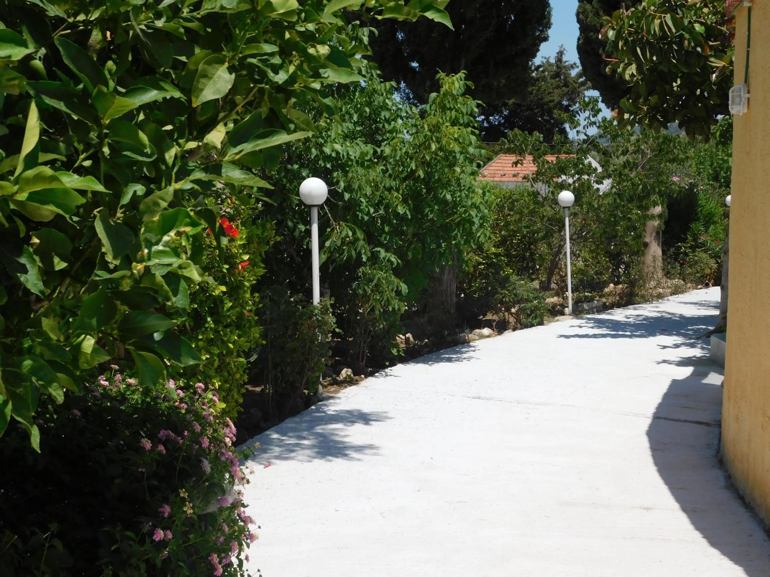 Property building in Villa Sofia