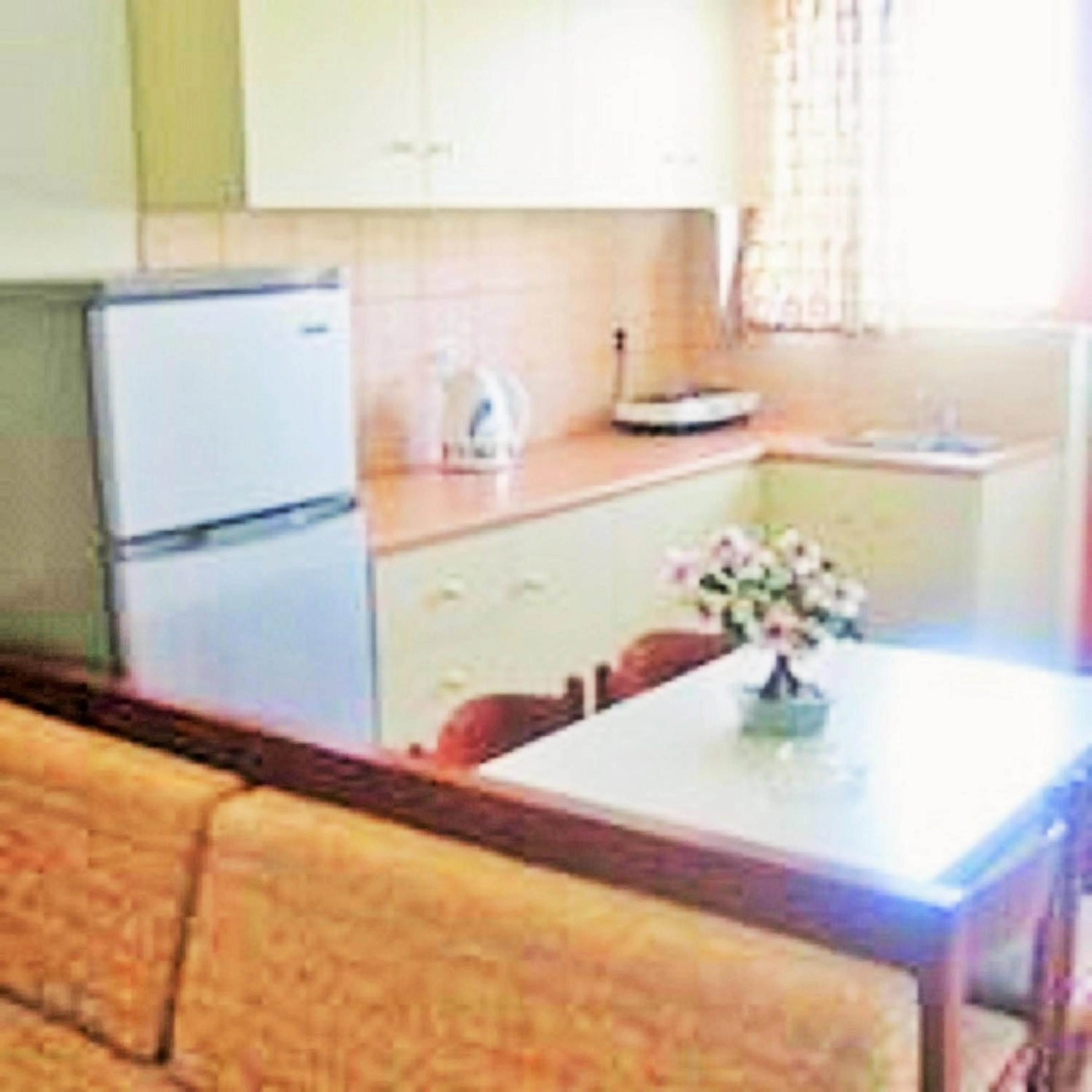 Kitchen or kitchenette in Villa Sofia