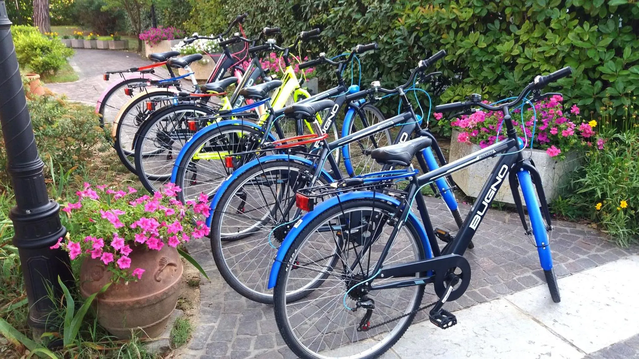 Garden in Villa Bruna