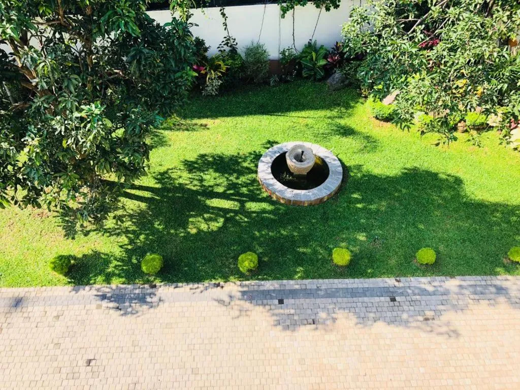 Garden in Forever City Hotel