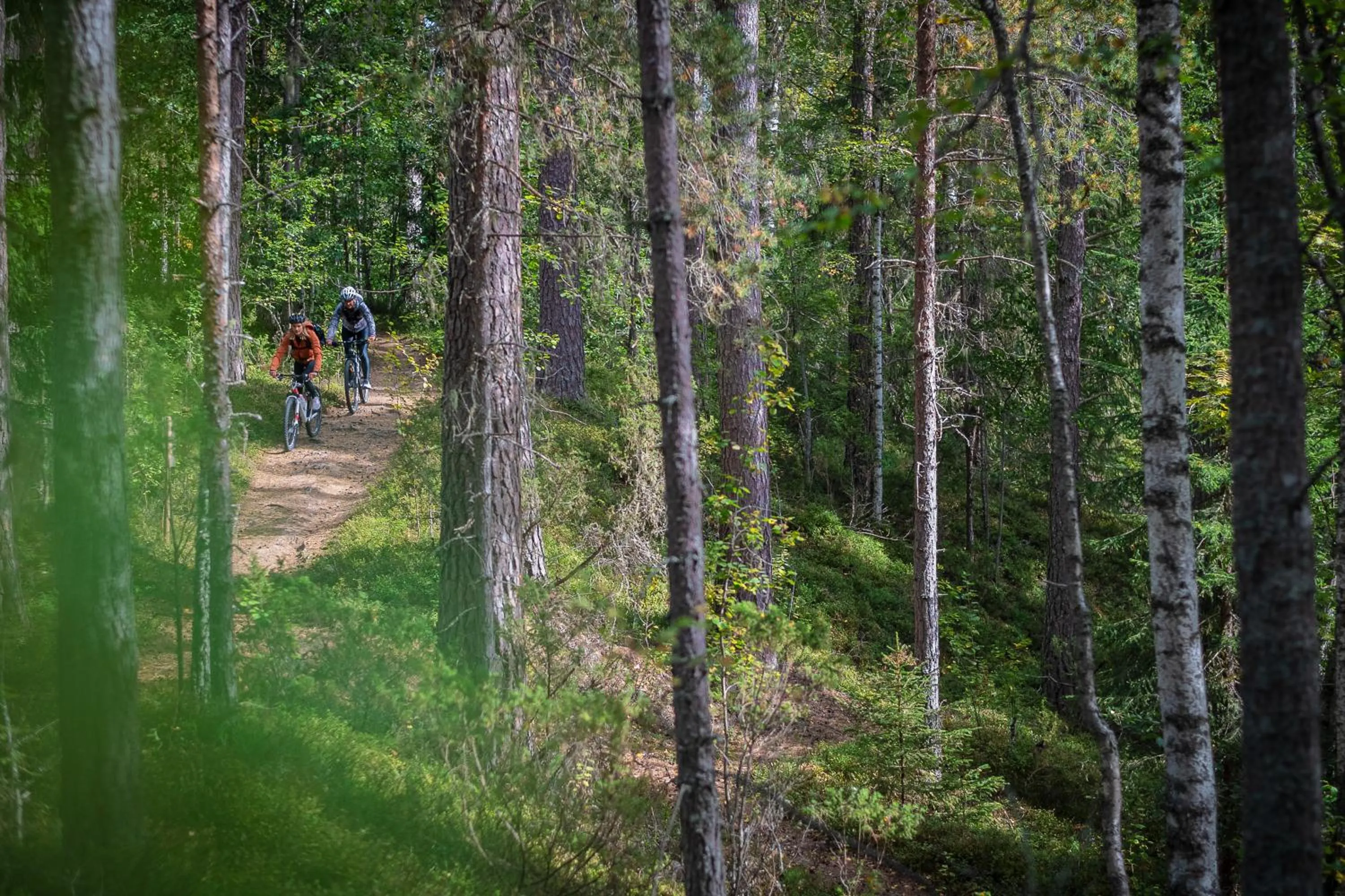 Cycling in Olarsgården Hotell