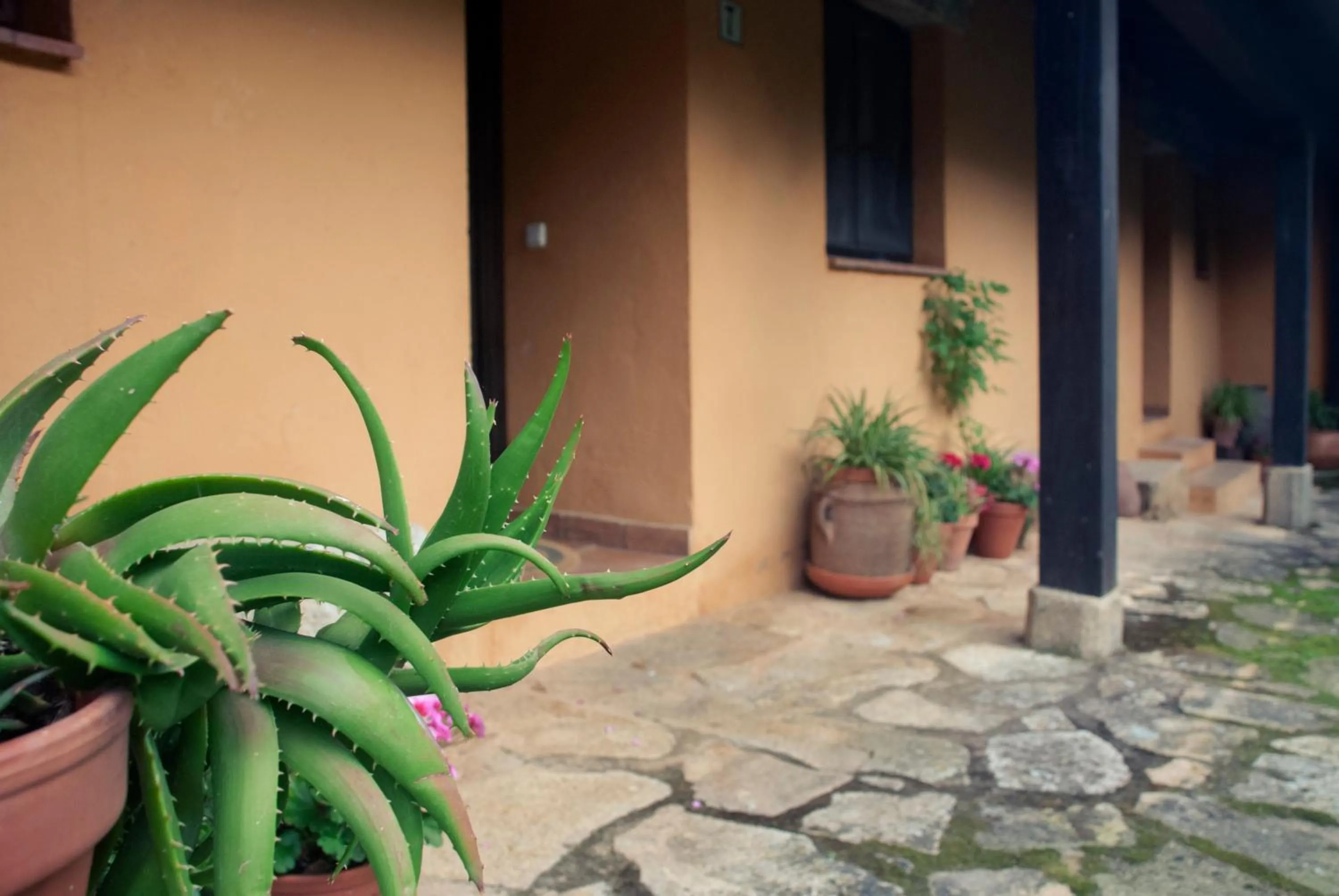 Property building in Apartamentos El Calambuco