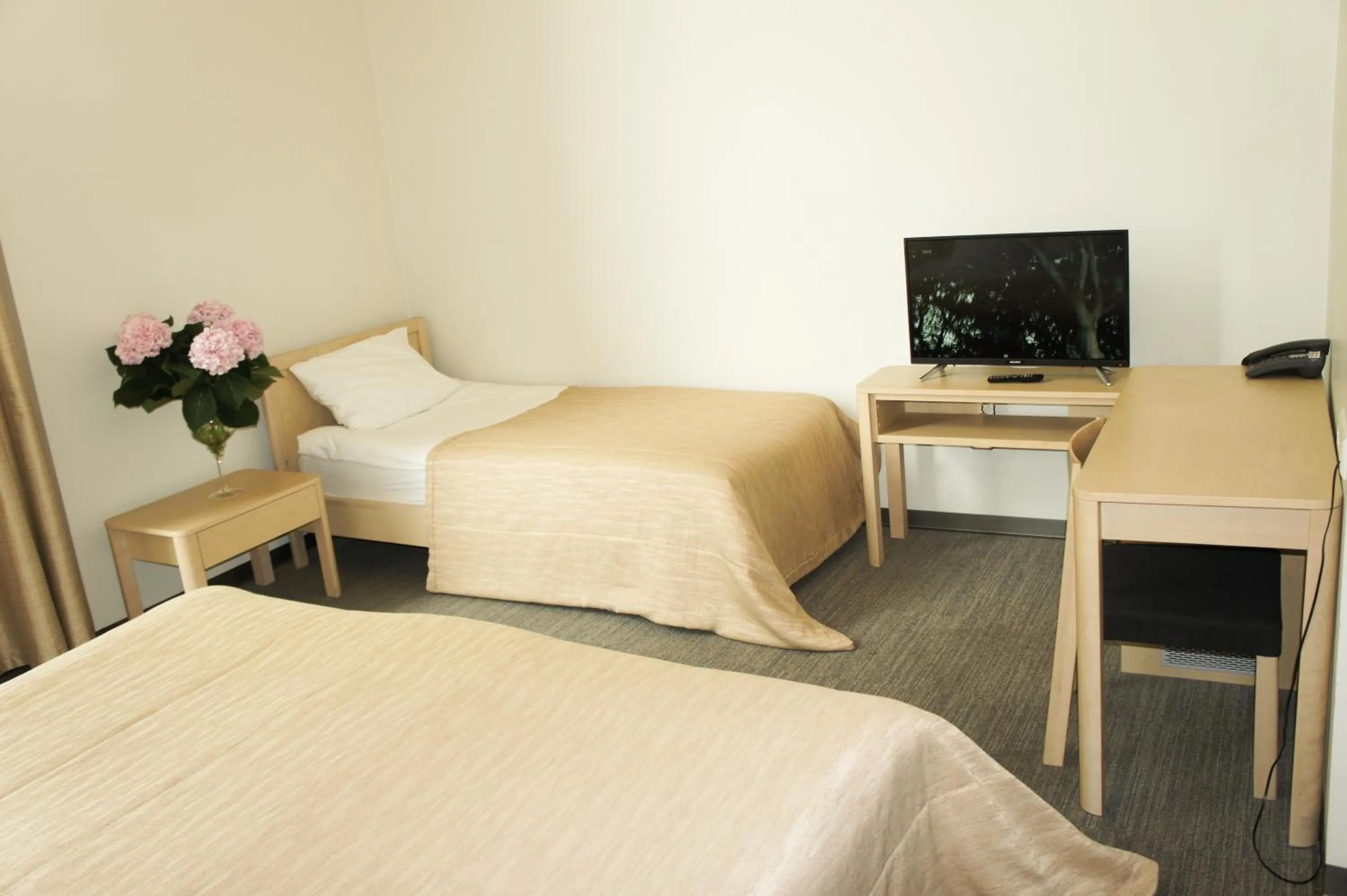 Bed in Zaliasis slenis - Self check-in hotel - Free parking